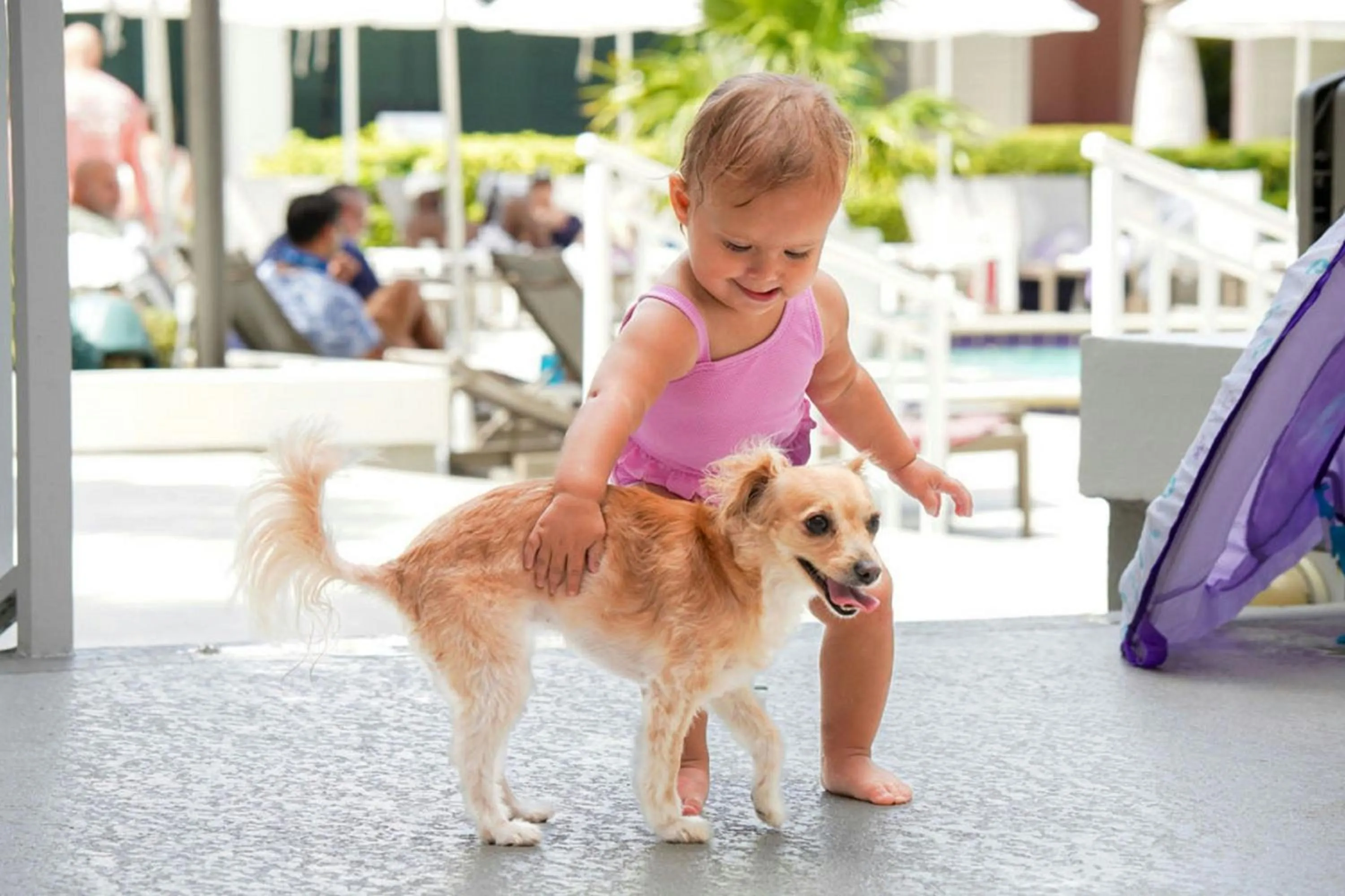 Swimming pool in Marriott Hutchinson Island Resort & Beach Villas, Golf & Marina
