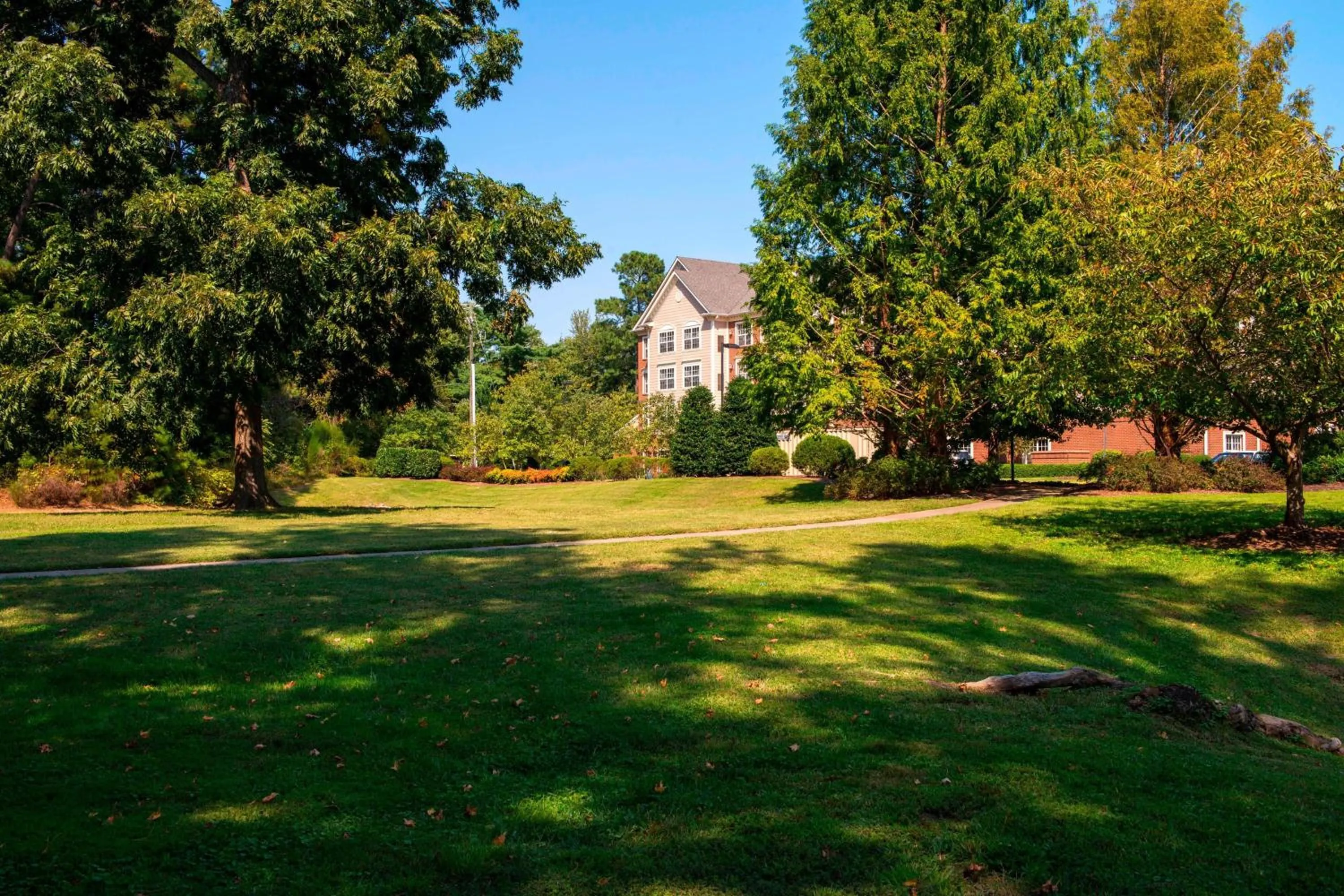 View (from property/room) in Residence Inn by Marriott Williamsburg