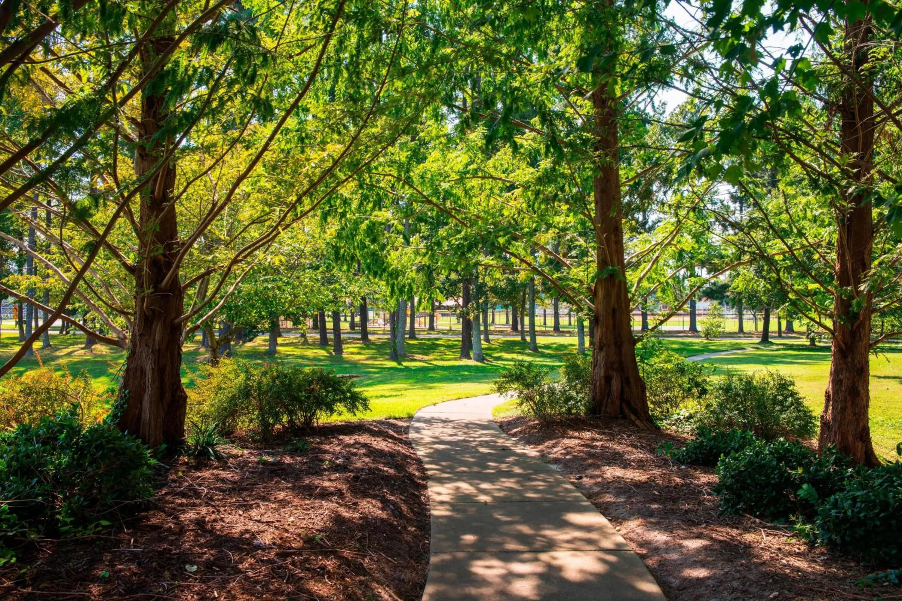 View (from property/room) in Residence Inn by Marriott Williamsburg
