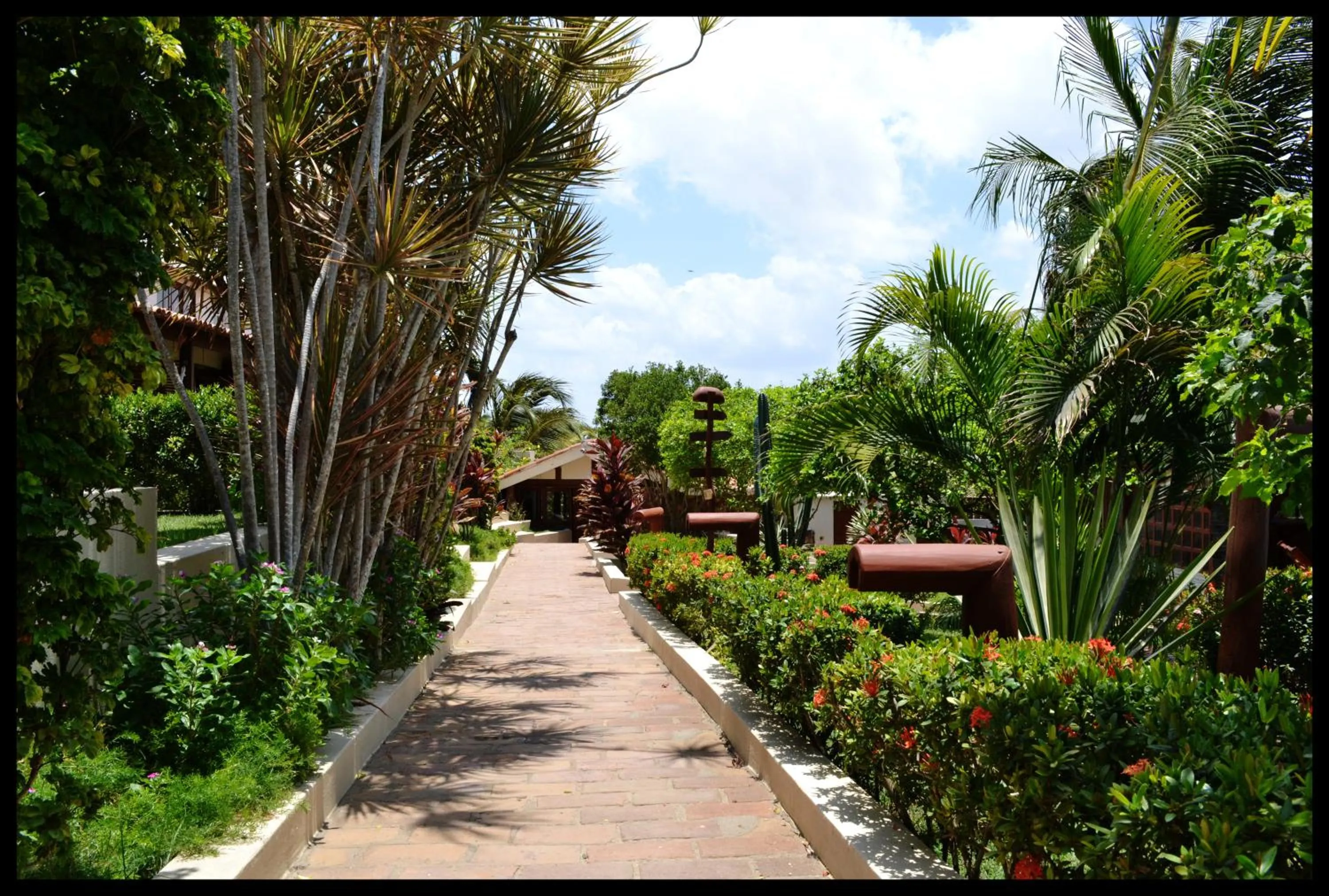 Garden in Pousada Samba do Kite