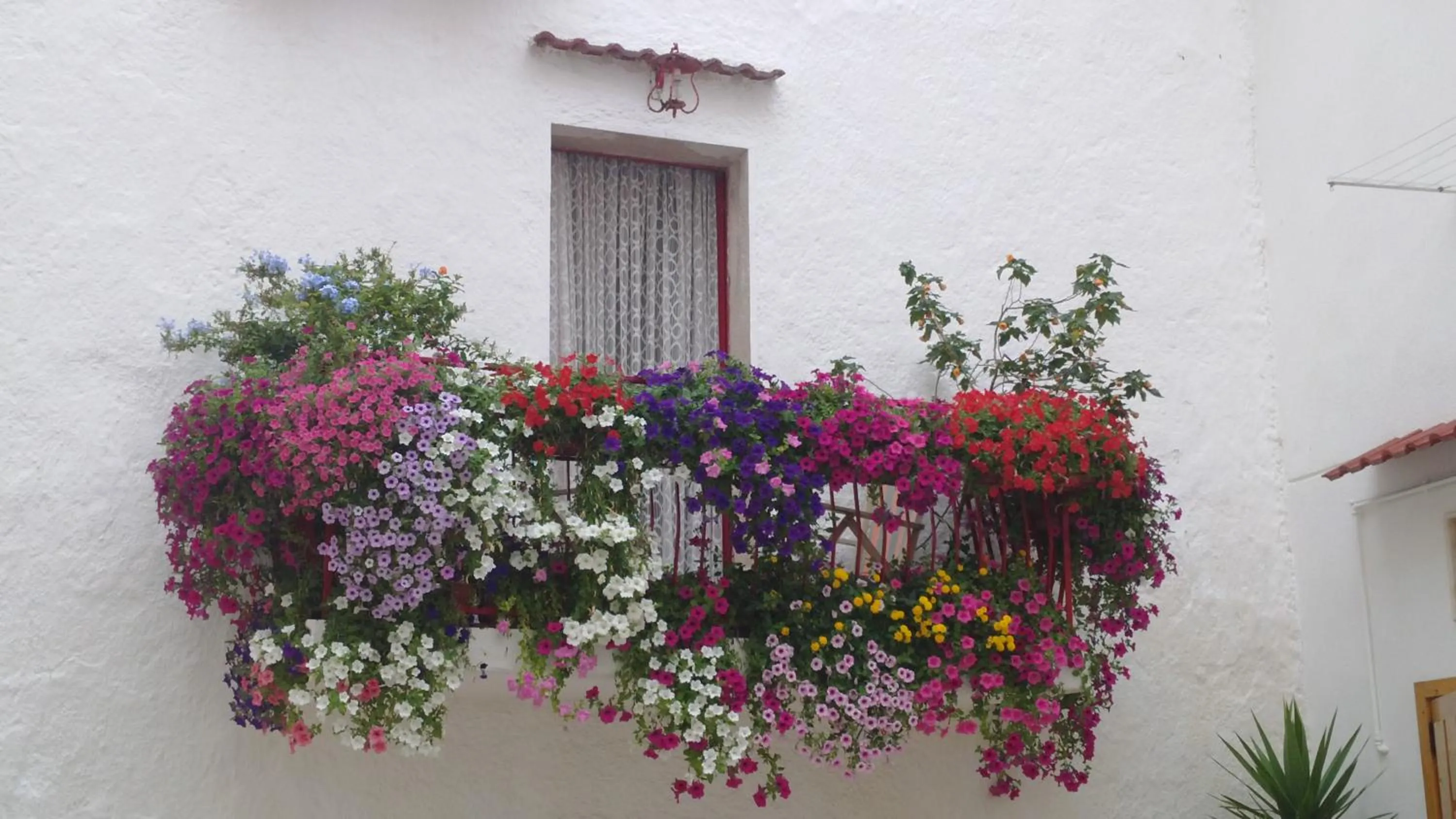 Internal: Not applicable to any particular room in B&b SAN LORENZO