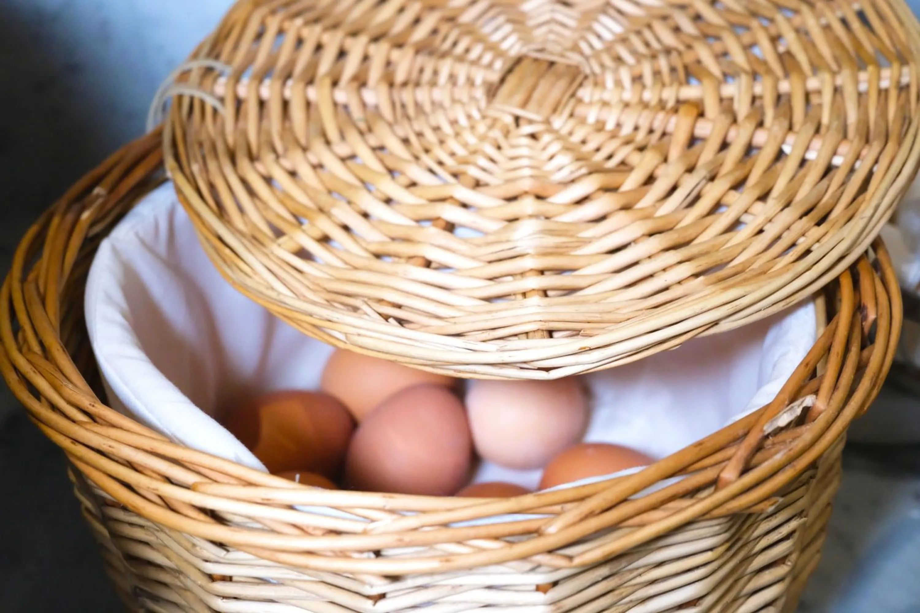 Buffet breakfast in Stargaze Forum Hotel Düsseldorf-Hilden