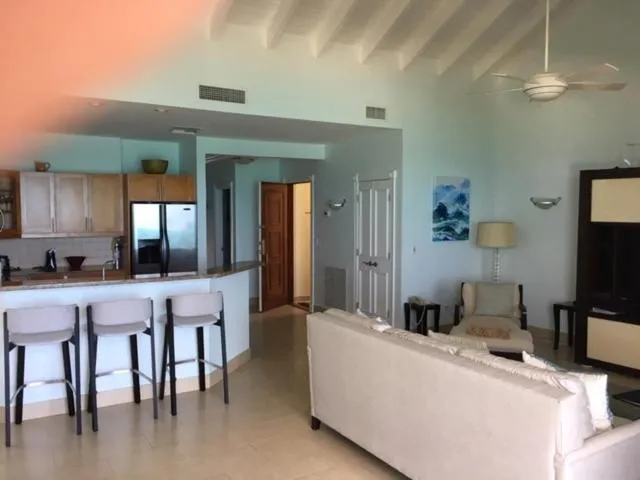 Kitchen or kitchenette in Villa Renaissance