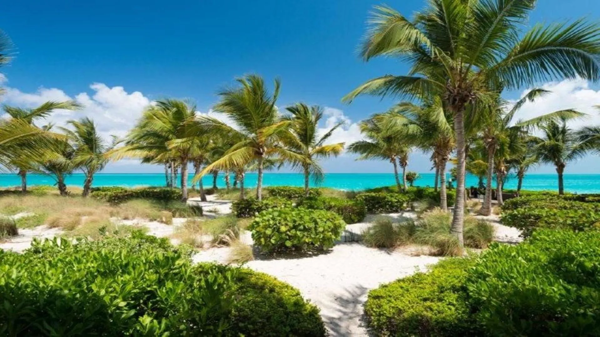 Beach in Villa Renaissance