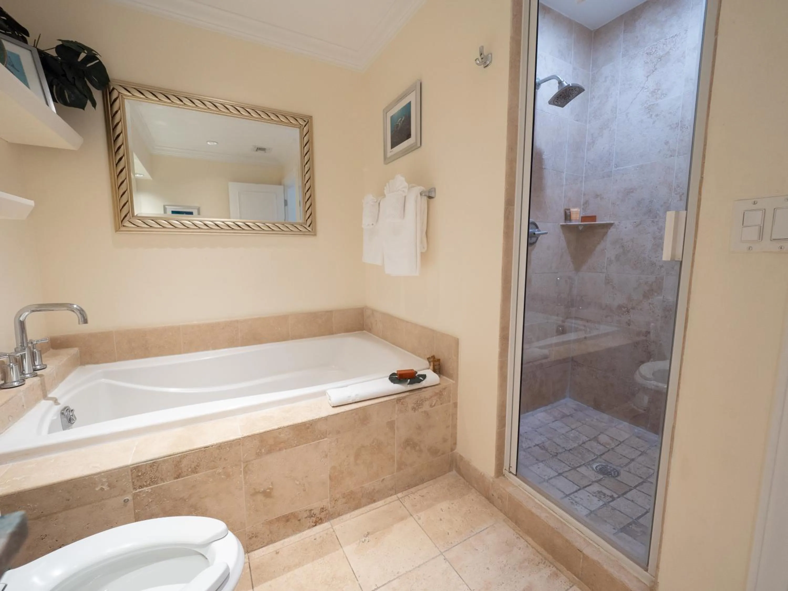 Shower in Villa Renaissance