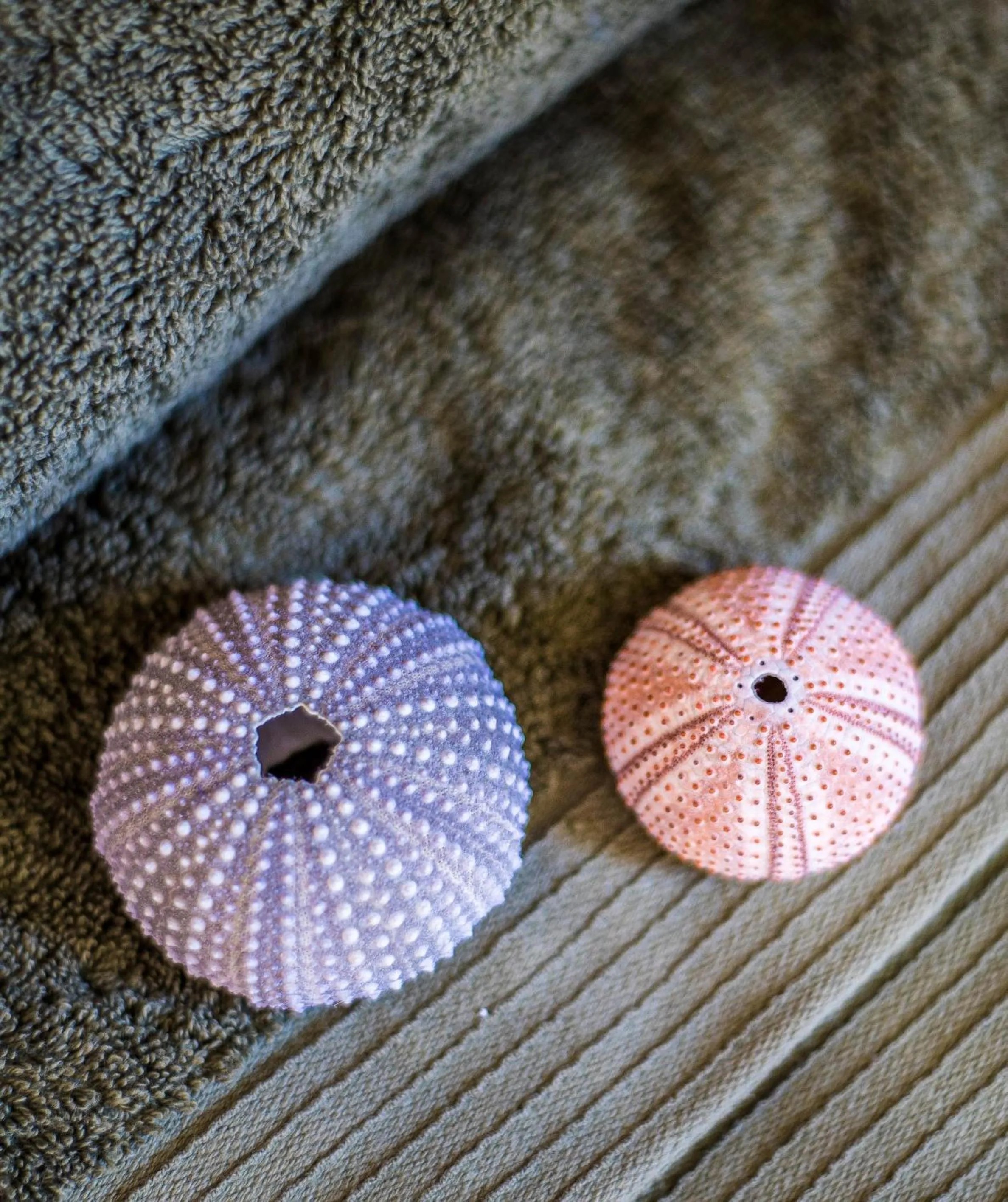 Bathroom in Ocean Villas Complex