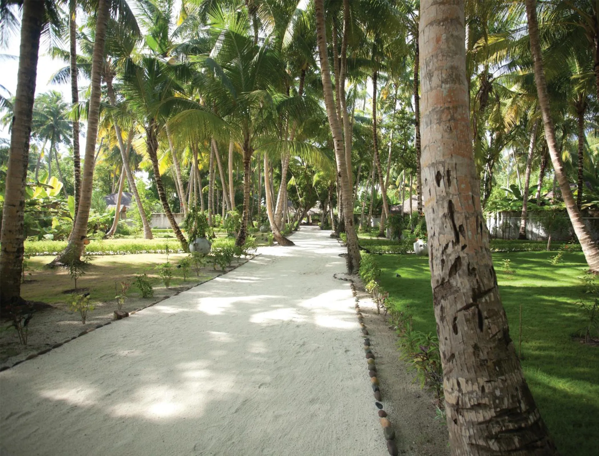 Area and facilities in Filitheyo Island Resort