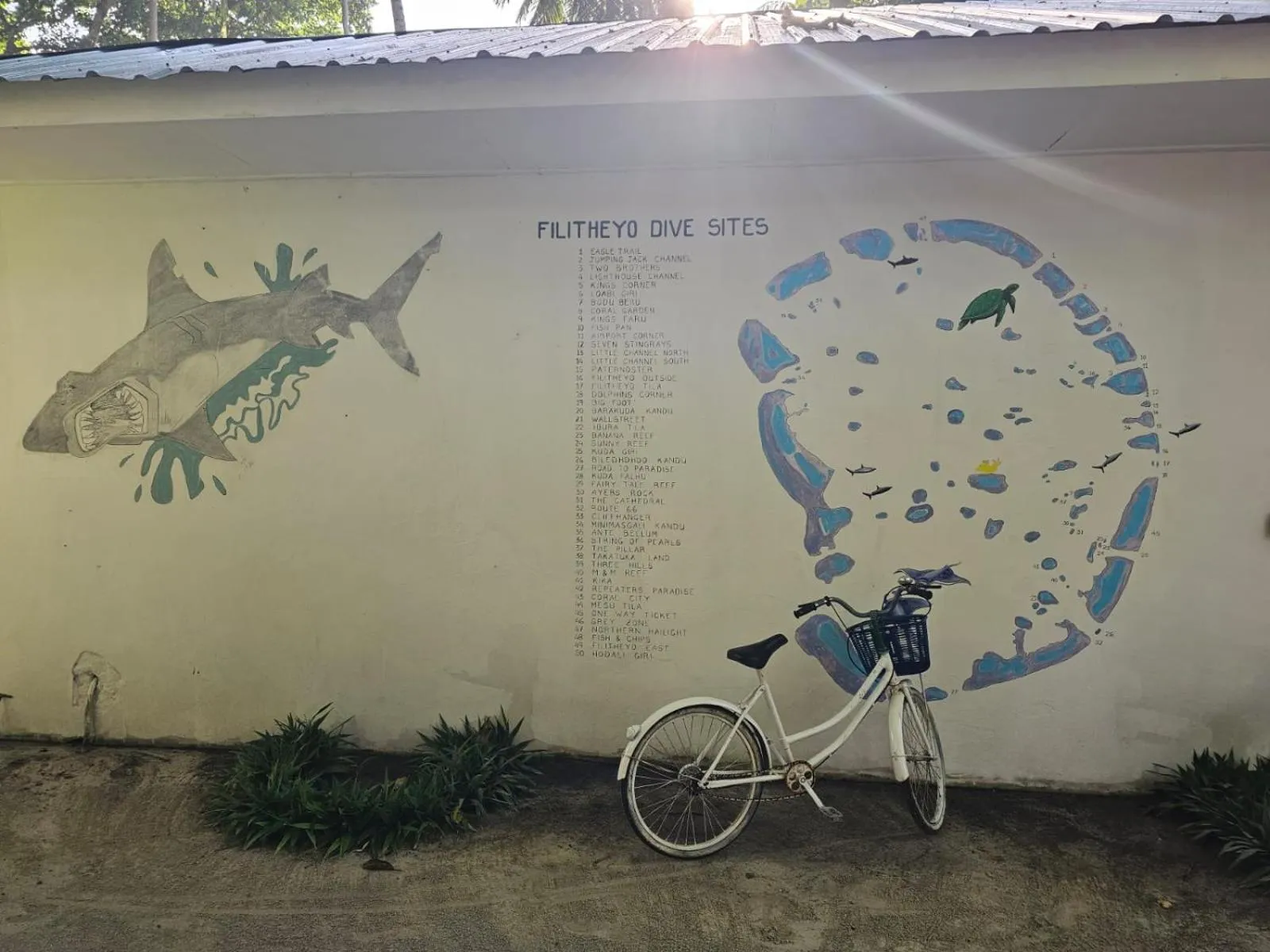 Activities in Filitheyo Island Resort