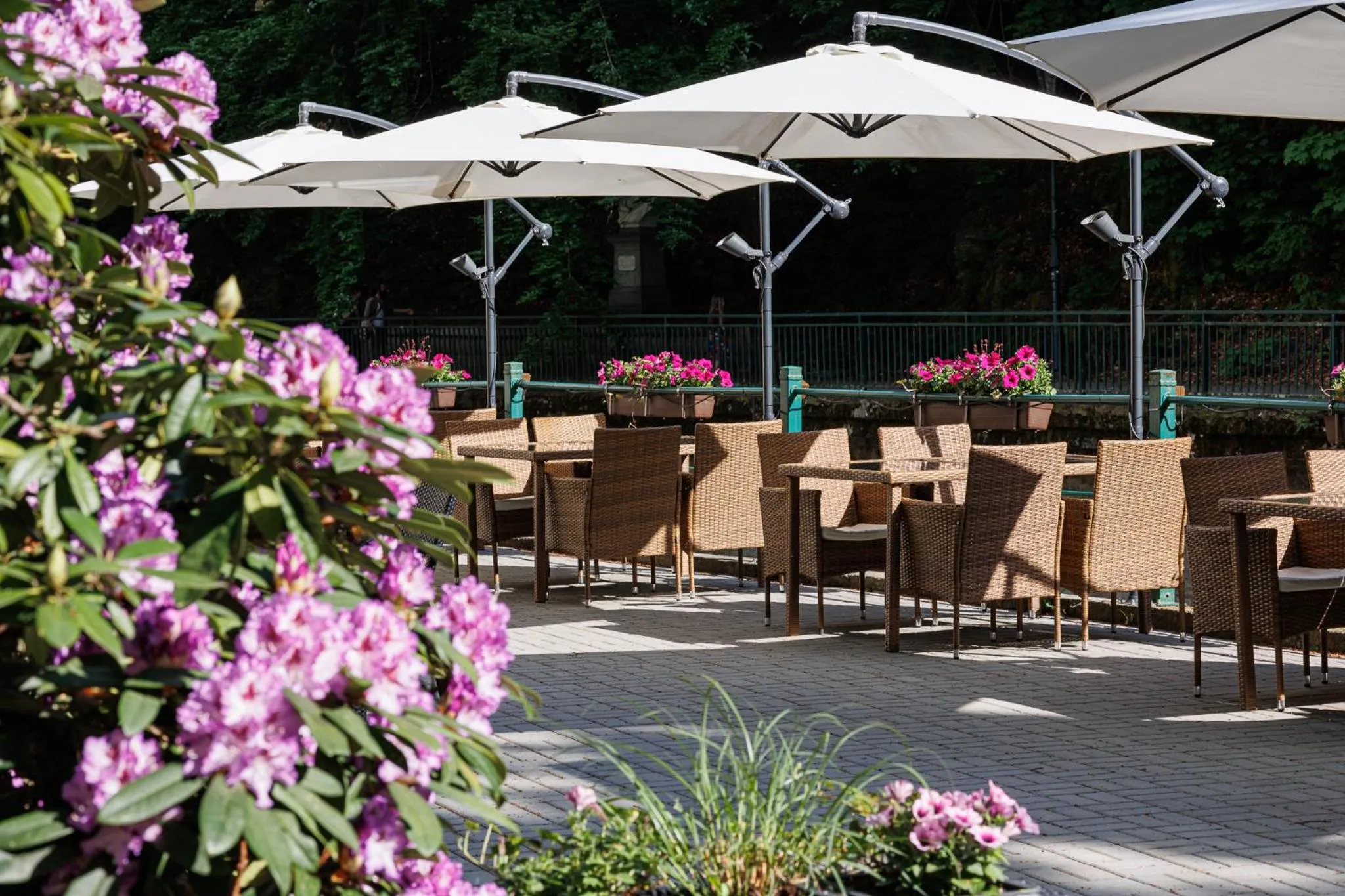 Restaurant/places to eat in Villa Basileia Riverside