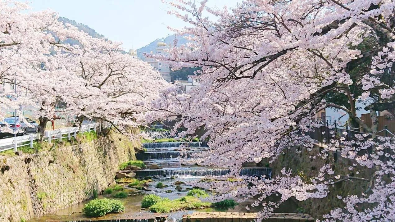 Nearby landmark in Merveille Arima