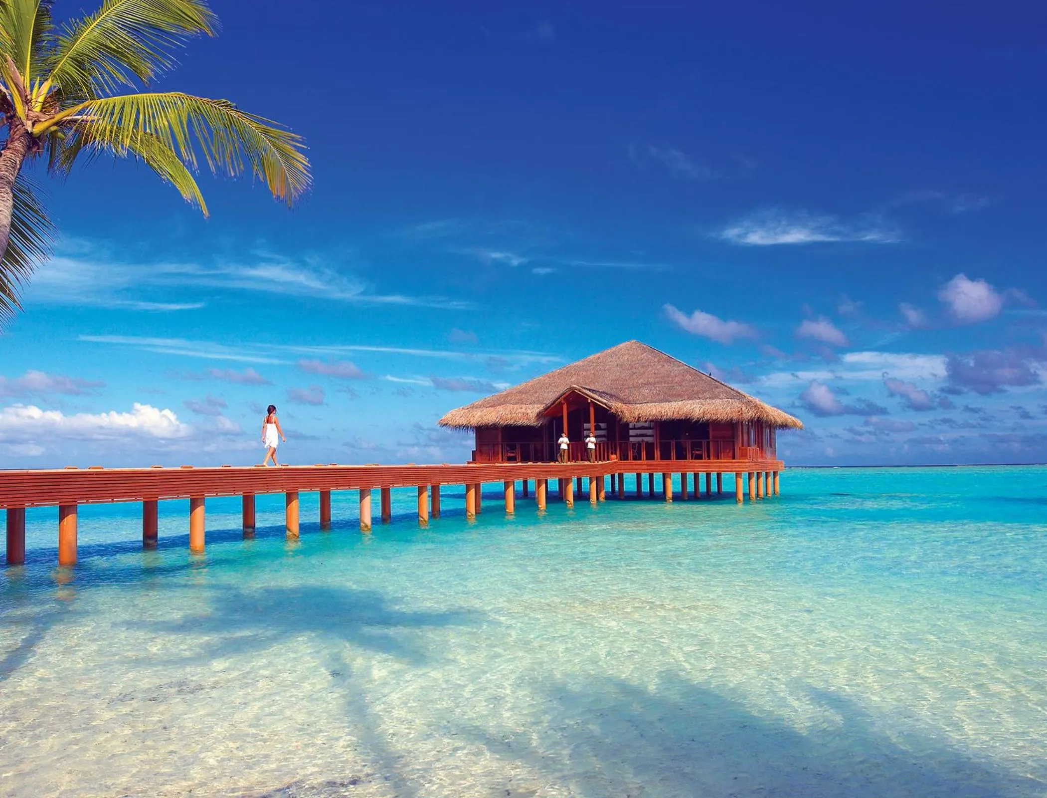 Area and facilities in Medhufushi Island Resort