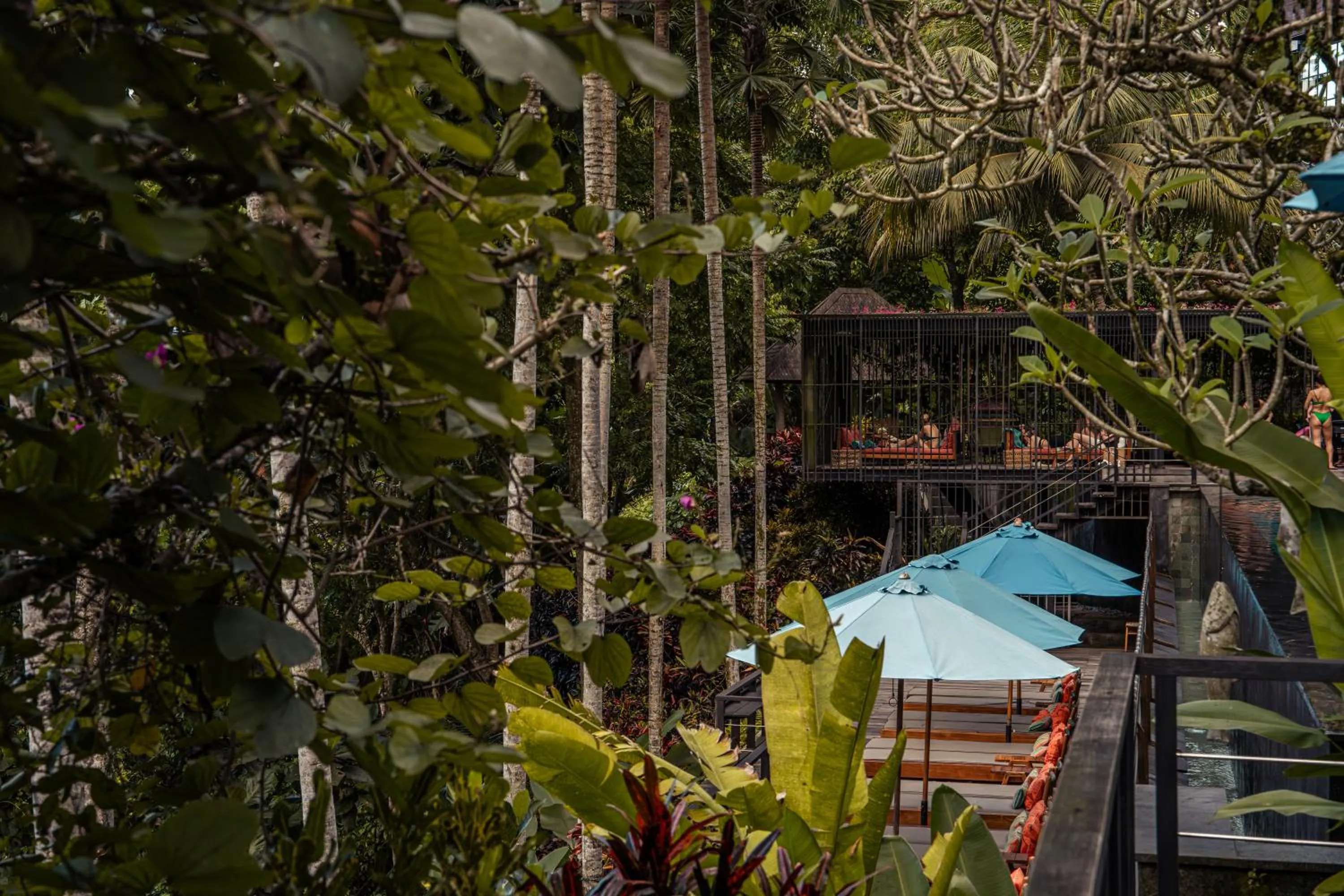 Day in Chapung Sebali Resort