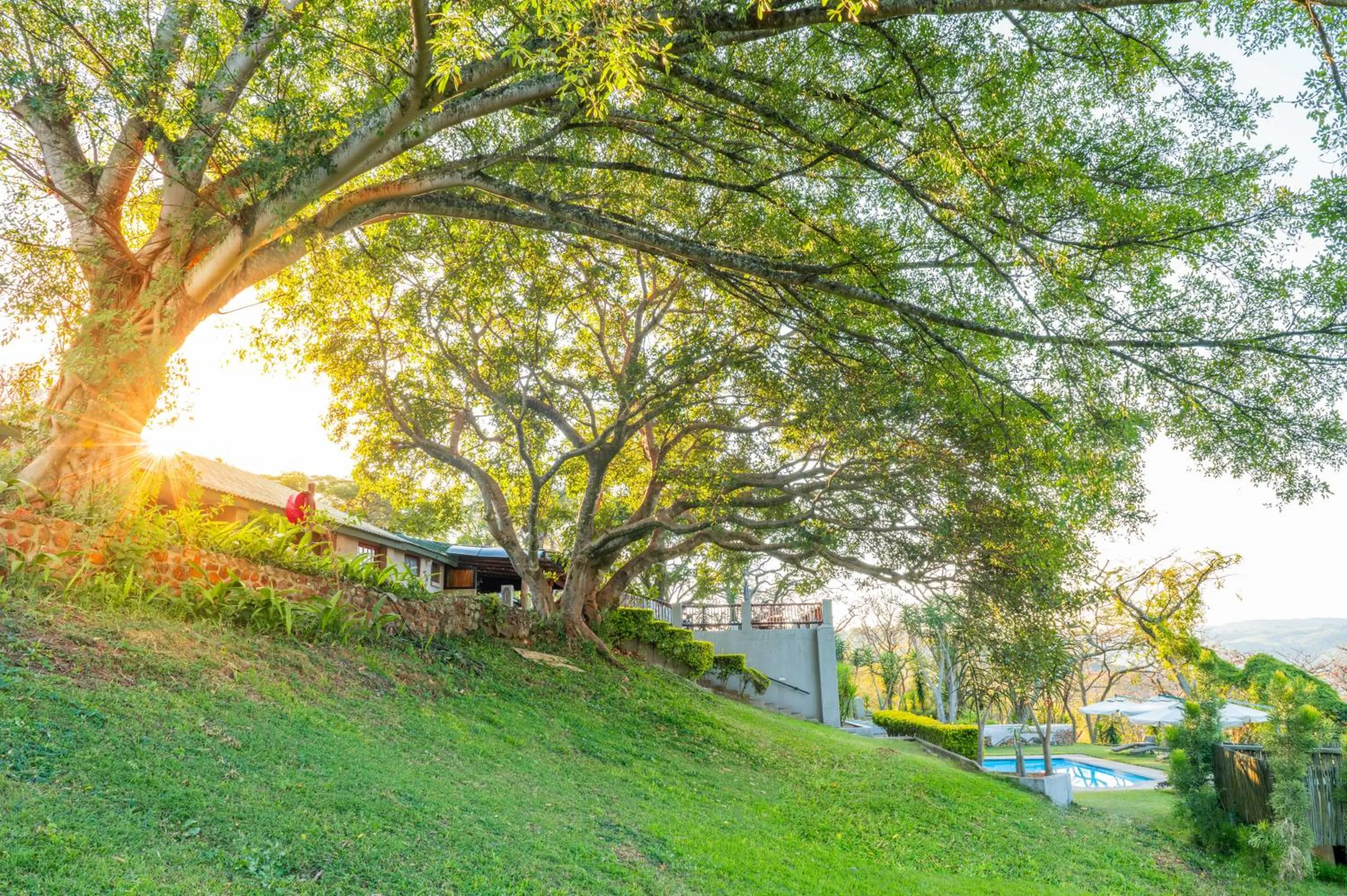 Natural landscape in Chestnut Country Lodge