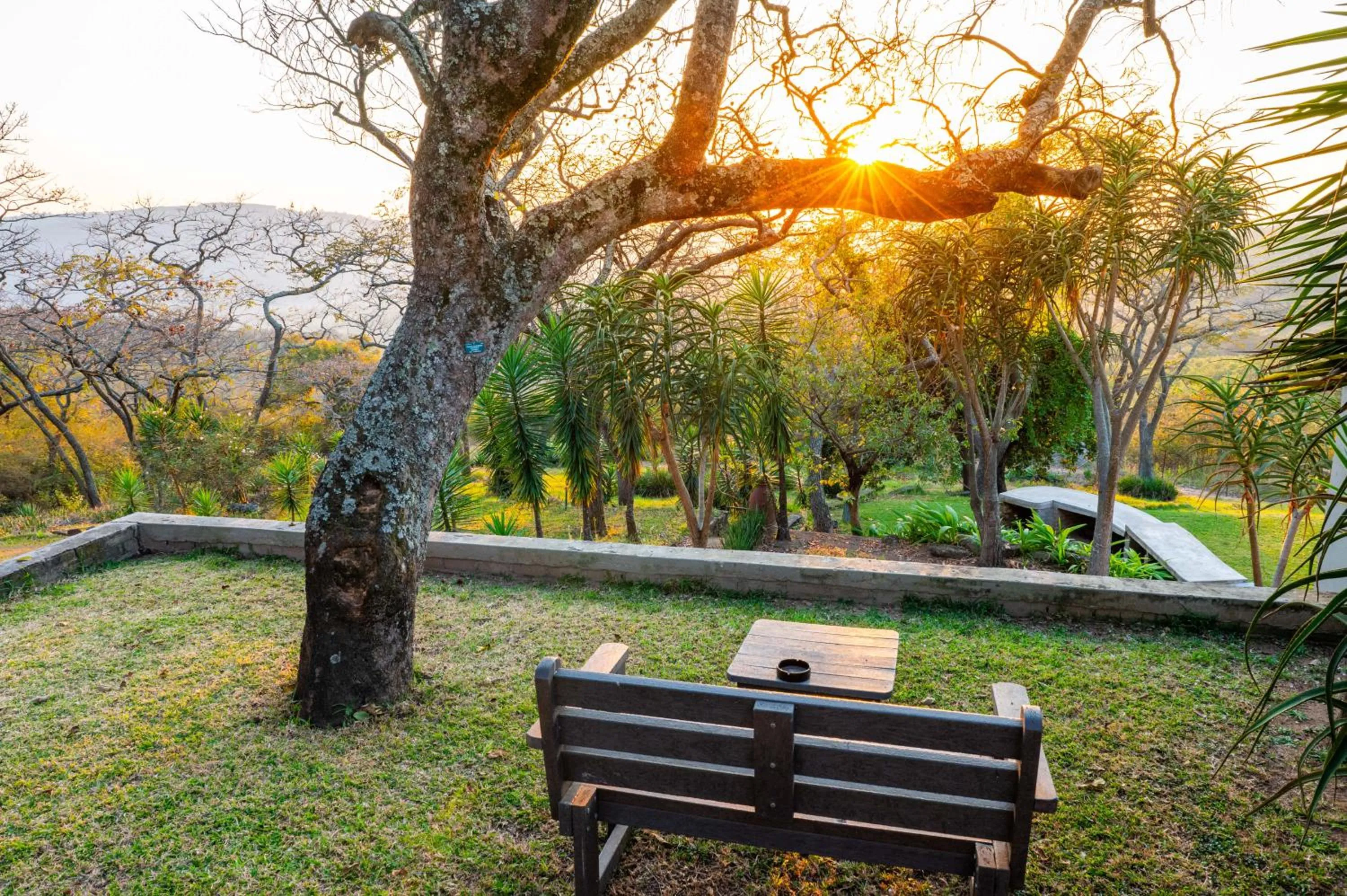 Garden in Chestnut Country Lodge