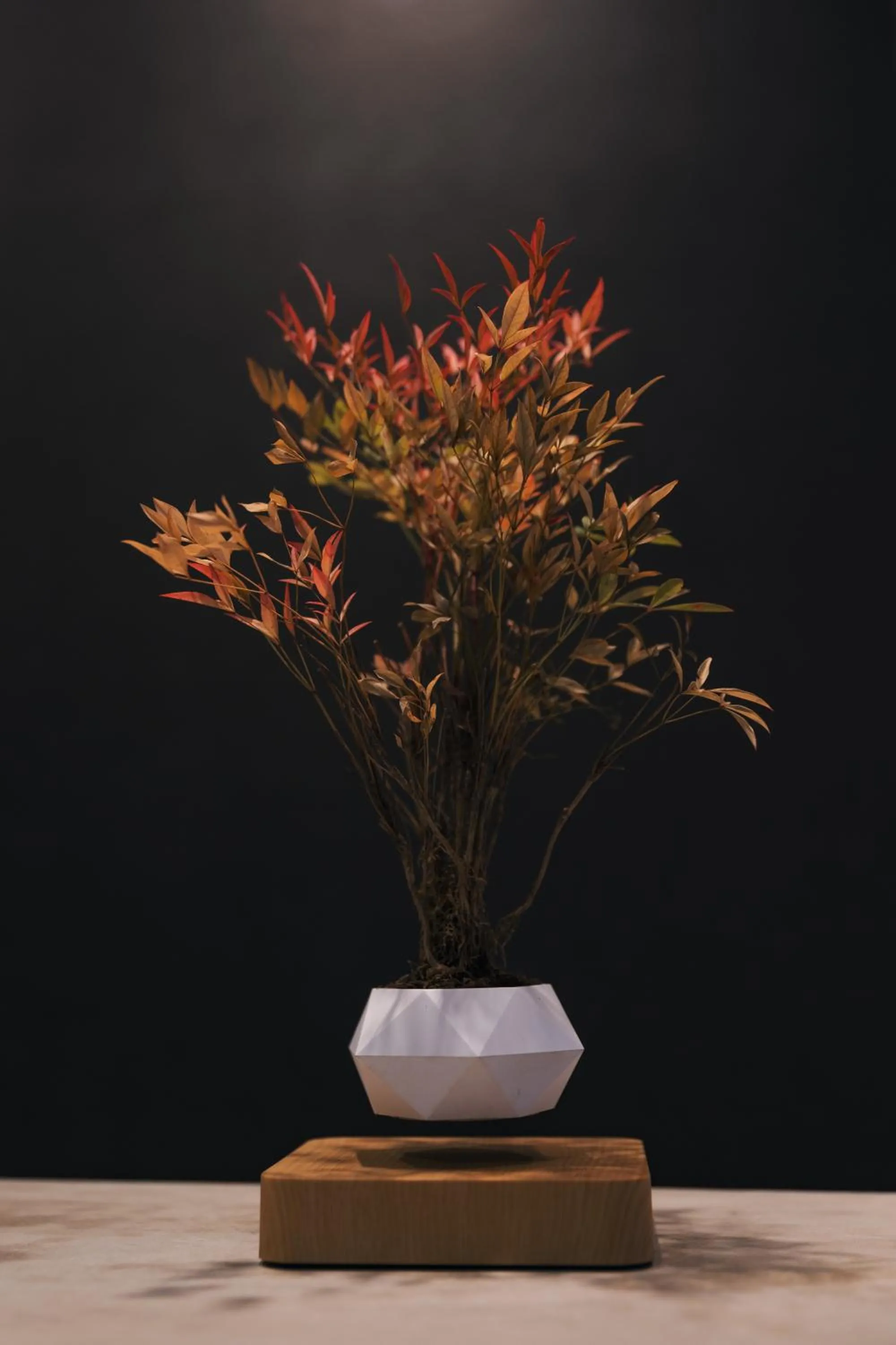 Decorative detail in OKINI HOTEL namba