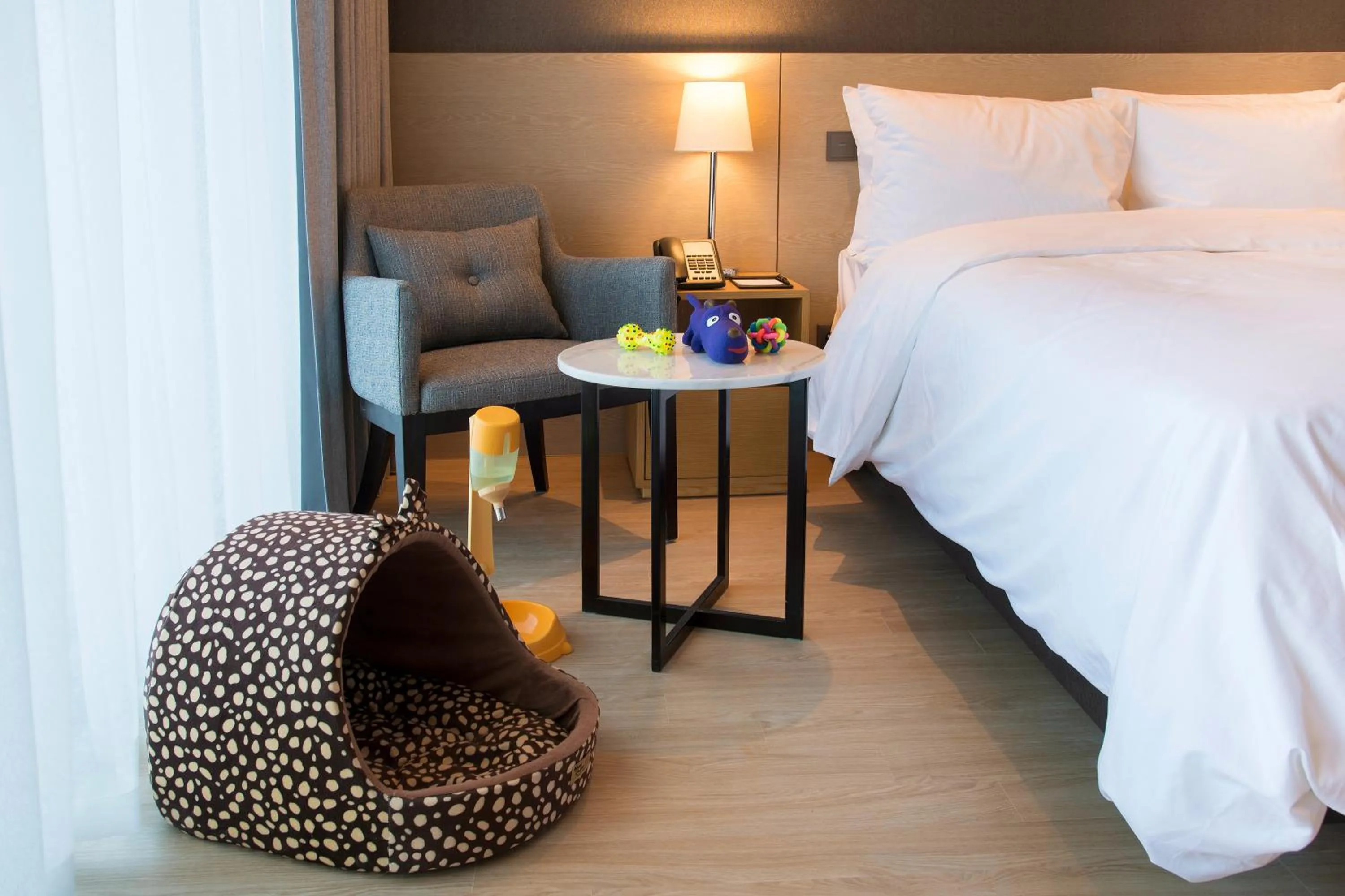 Animals, Bed in St. John's Hotel