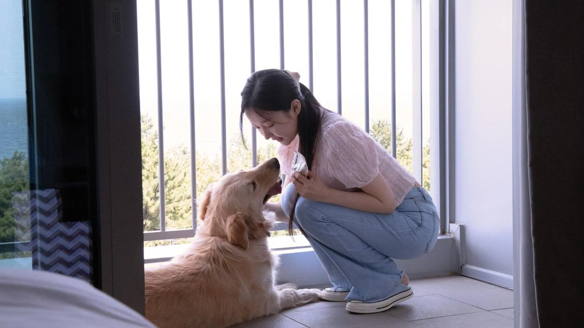 Animals in St. John's Hotel