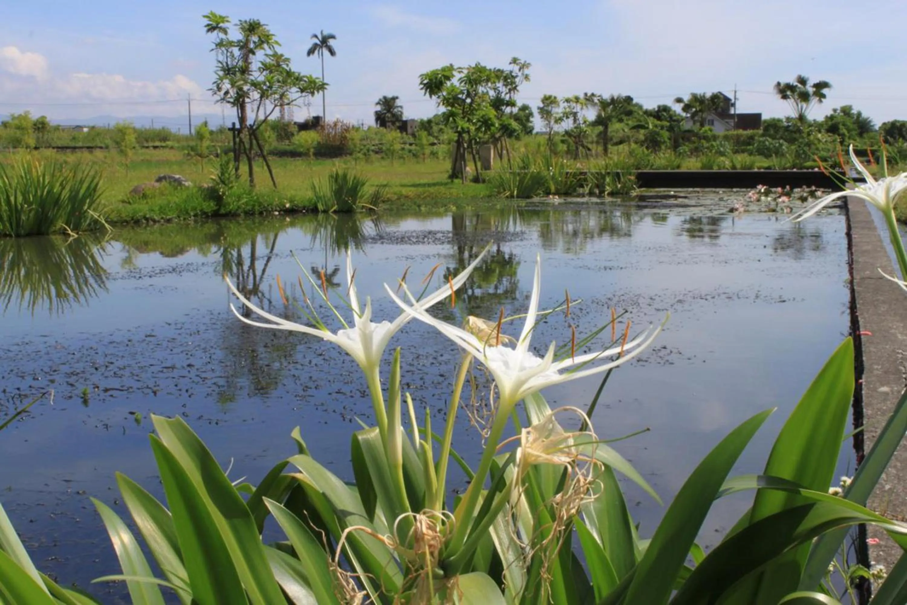 Natural landscape in Aqua Star Villa Homestay