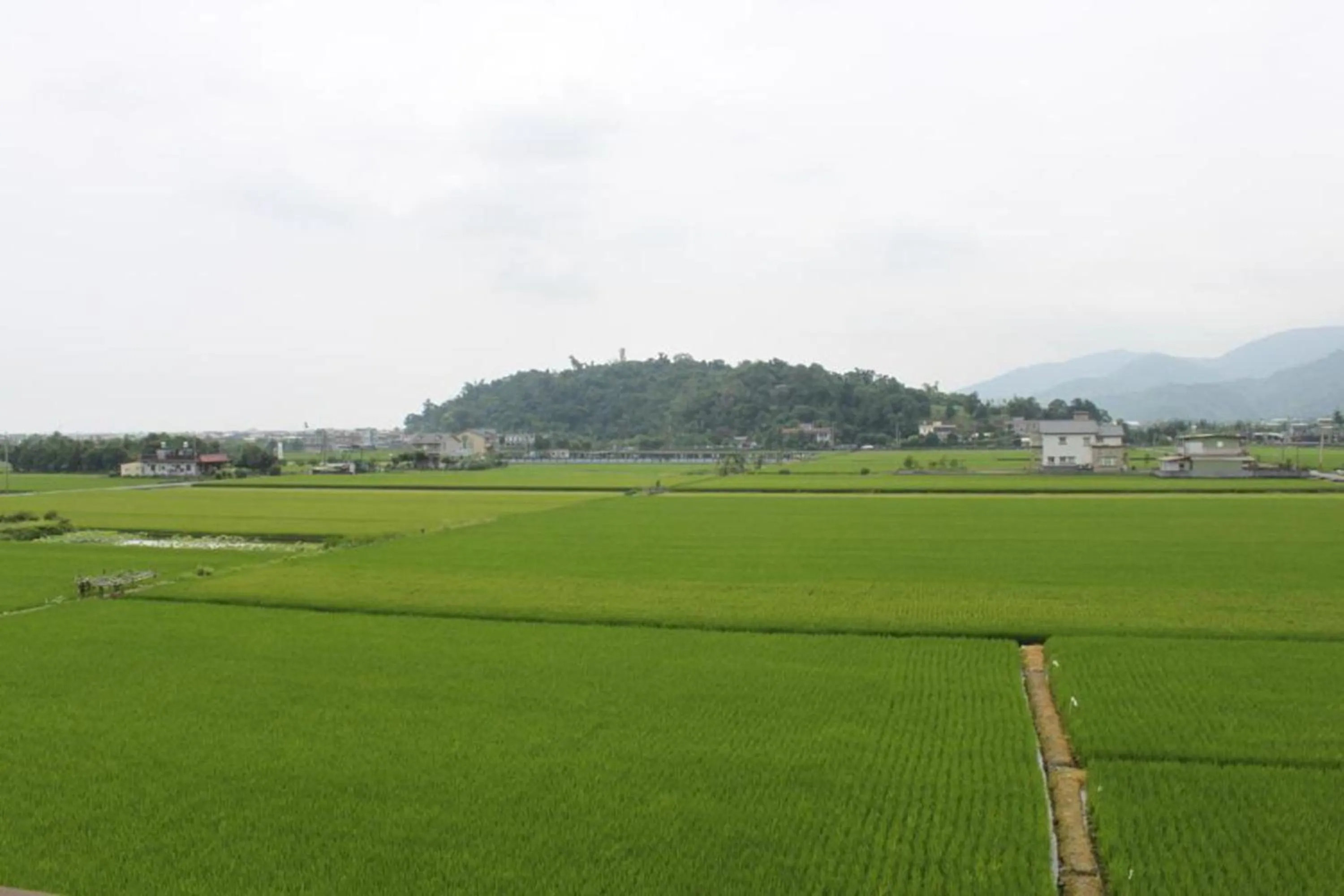 Natural landscape in Aqua Star Villa Homestay