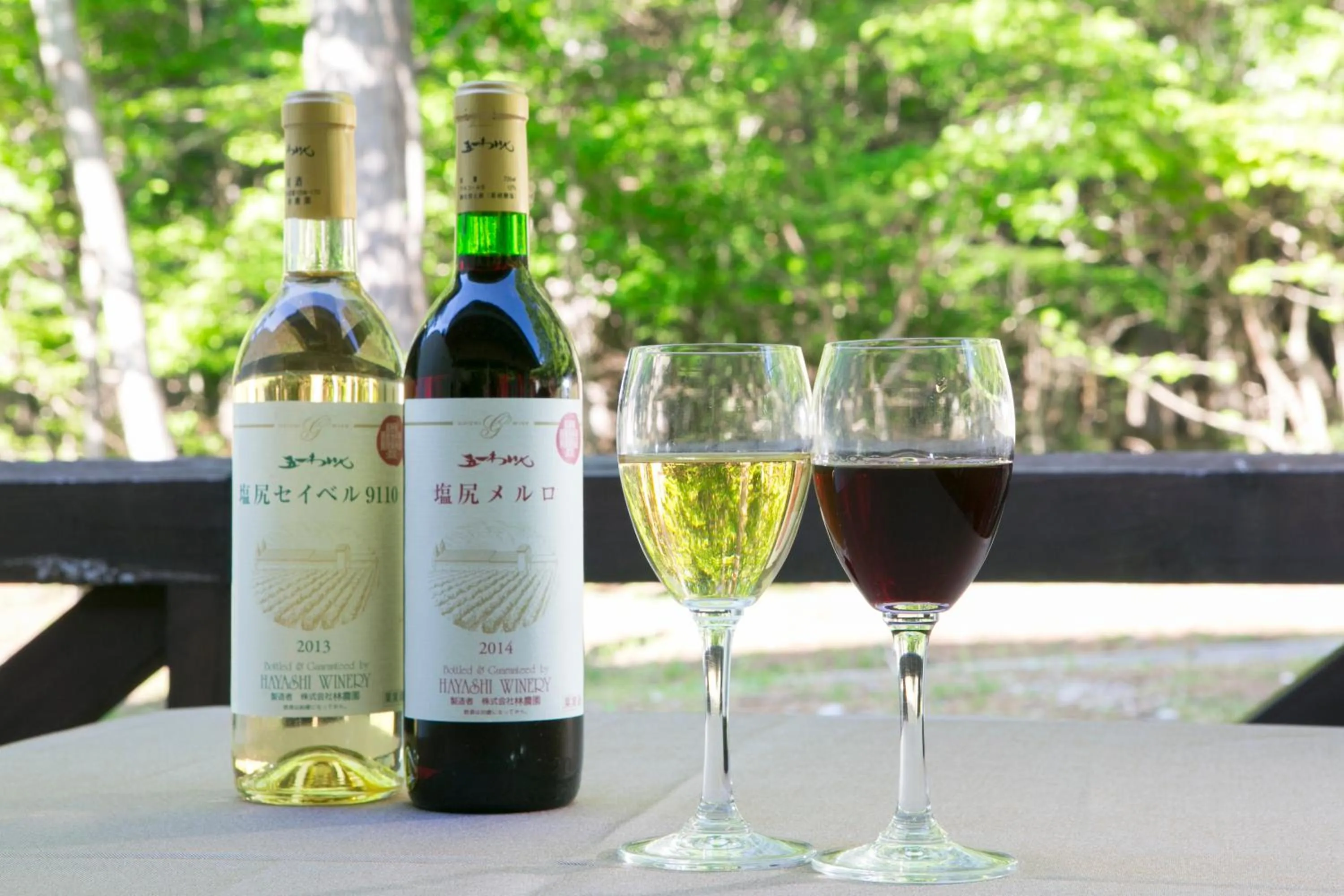 Sundance Resort Tateshina