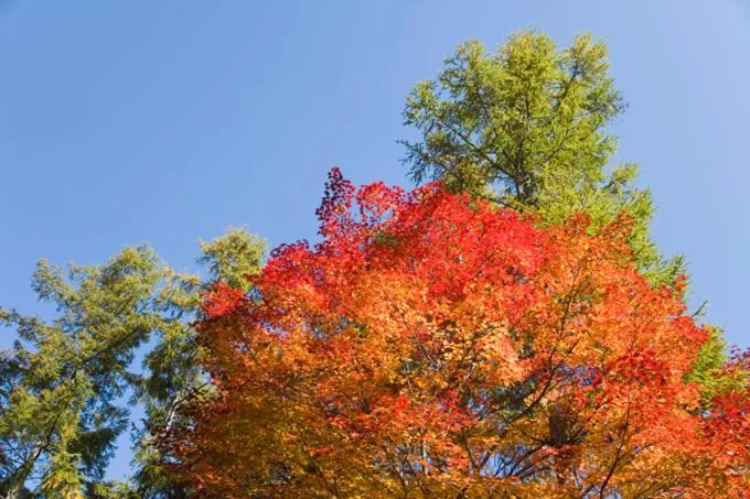 Sundance Resort Tateshina