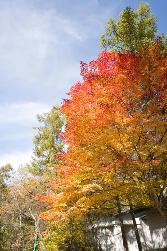 Sundance Resort Tateshina
