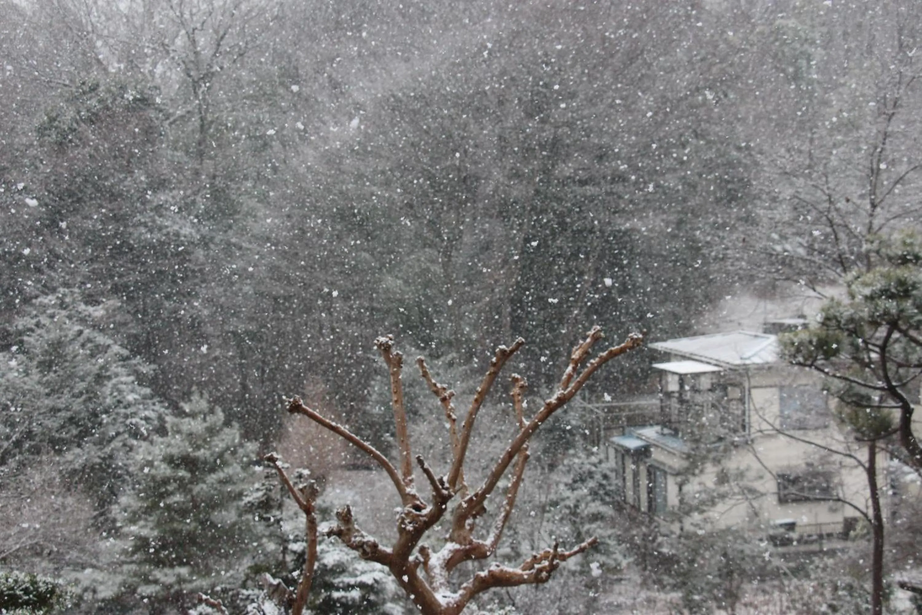 Kougetsu Sanso -- Moon Villa in Tokyo