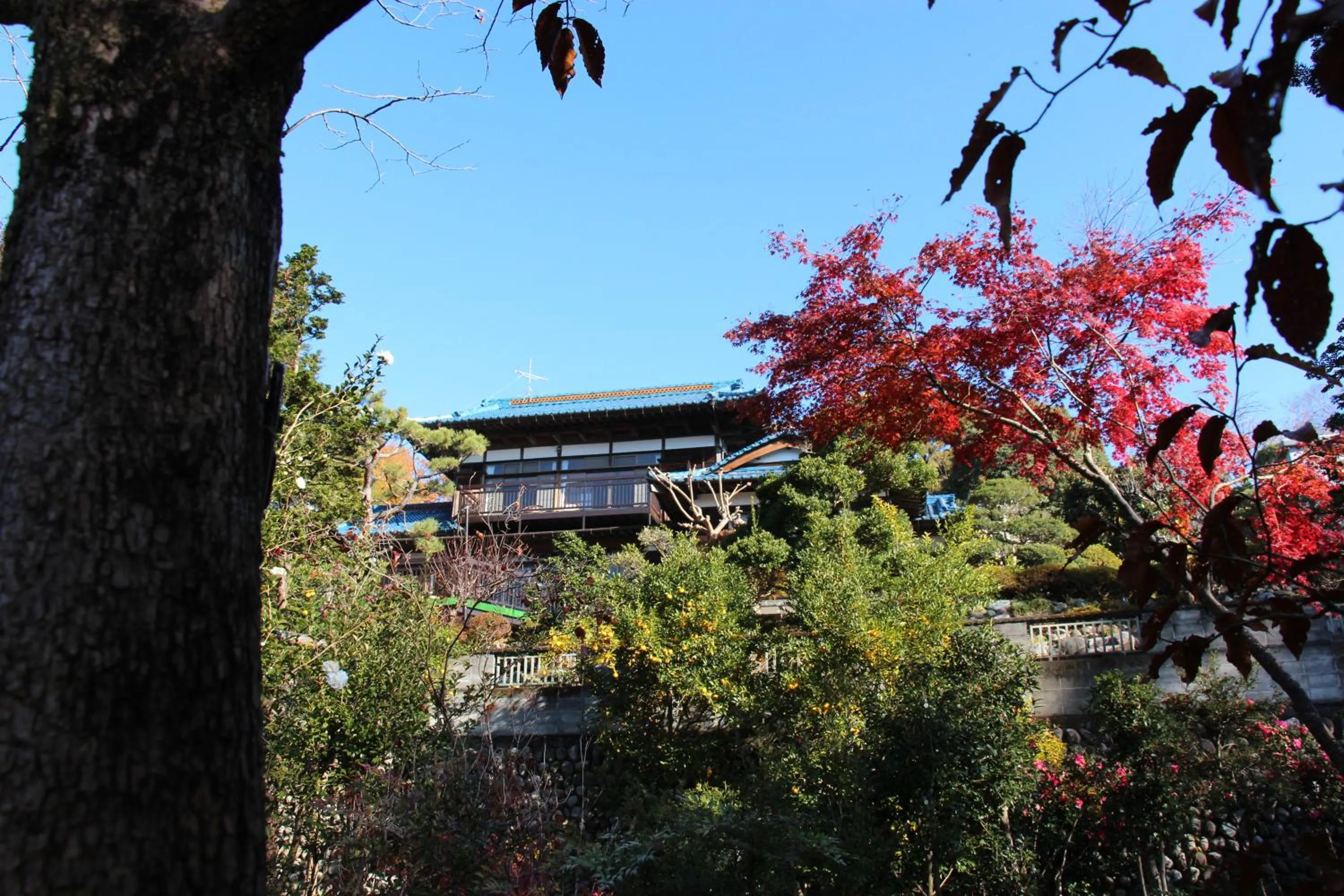 Kougetsu Sanso -- Moon Villa in Tokyo
