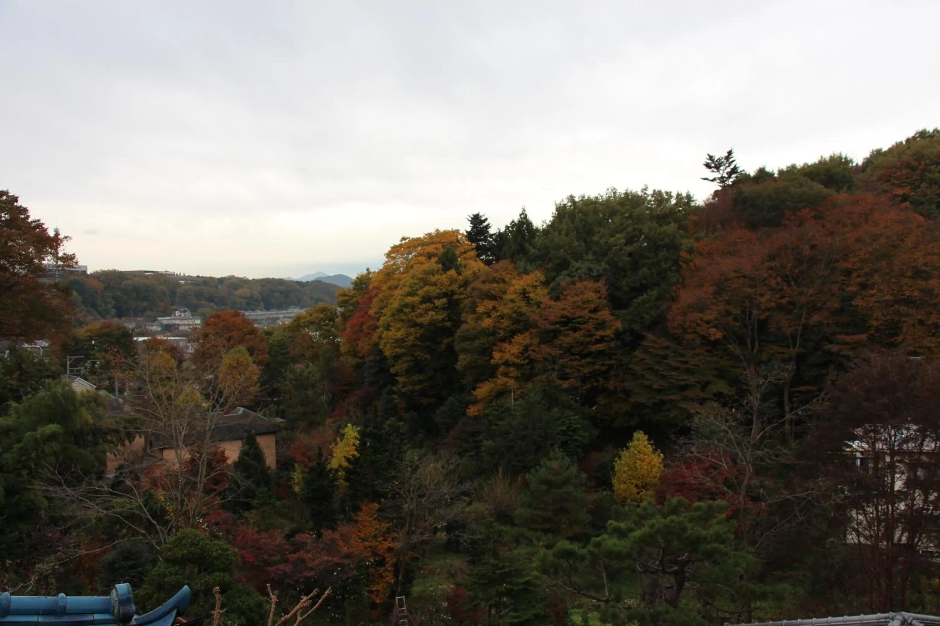 Kougetsu Sanso -- Moon Villa in Tokyo