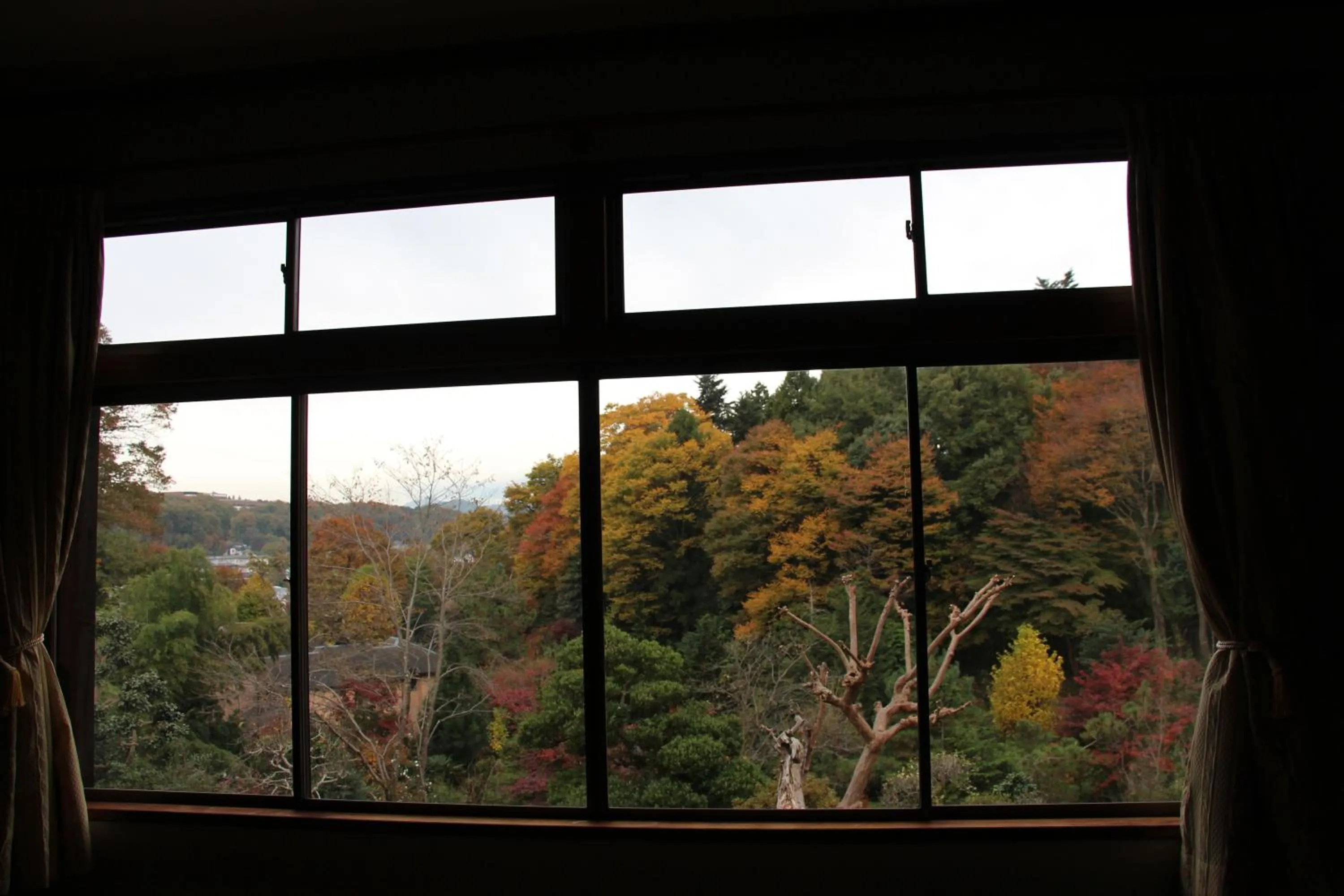 Kougetsu Sanso -- Moon Villa in Tokyo