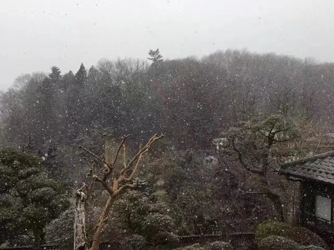 Kougetsu Sanso -- Moon Villa in Tokyo