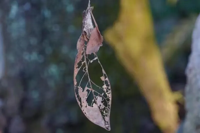 Kougetsu Sanso -- Moon Villa in Tokyo