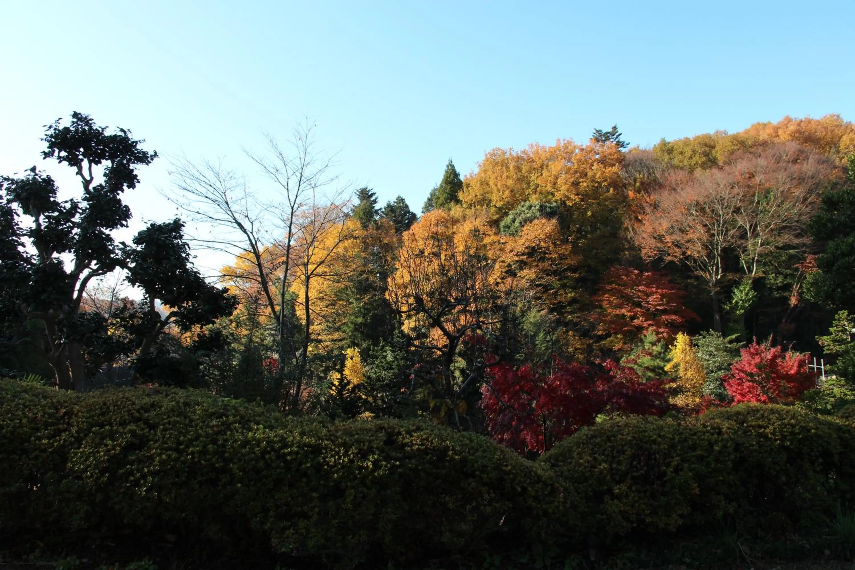 Kougetsu Sanso -- Moon Villa in Tokyo