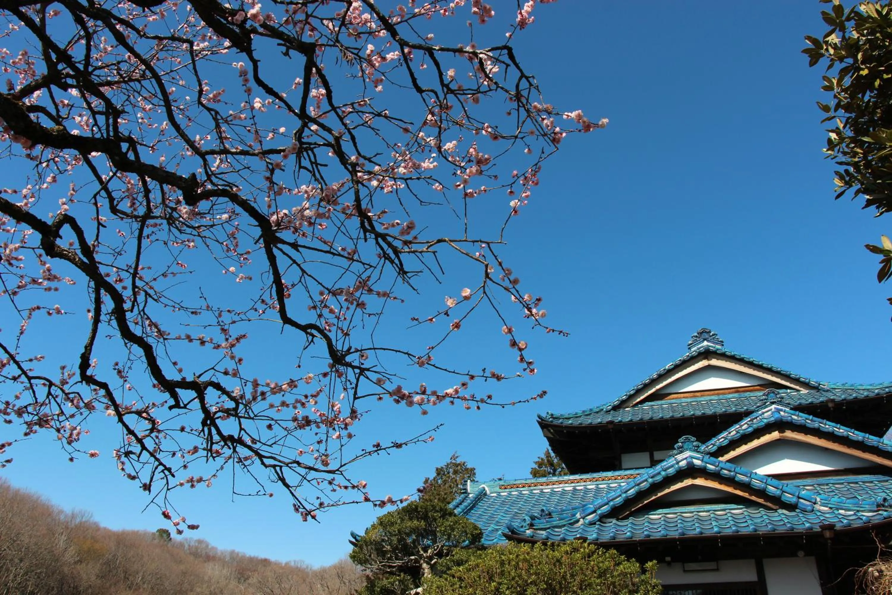 Property building in Kougetsu Sanso -- Moon Villa in Tokyo
