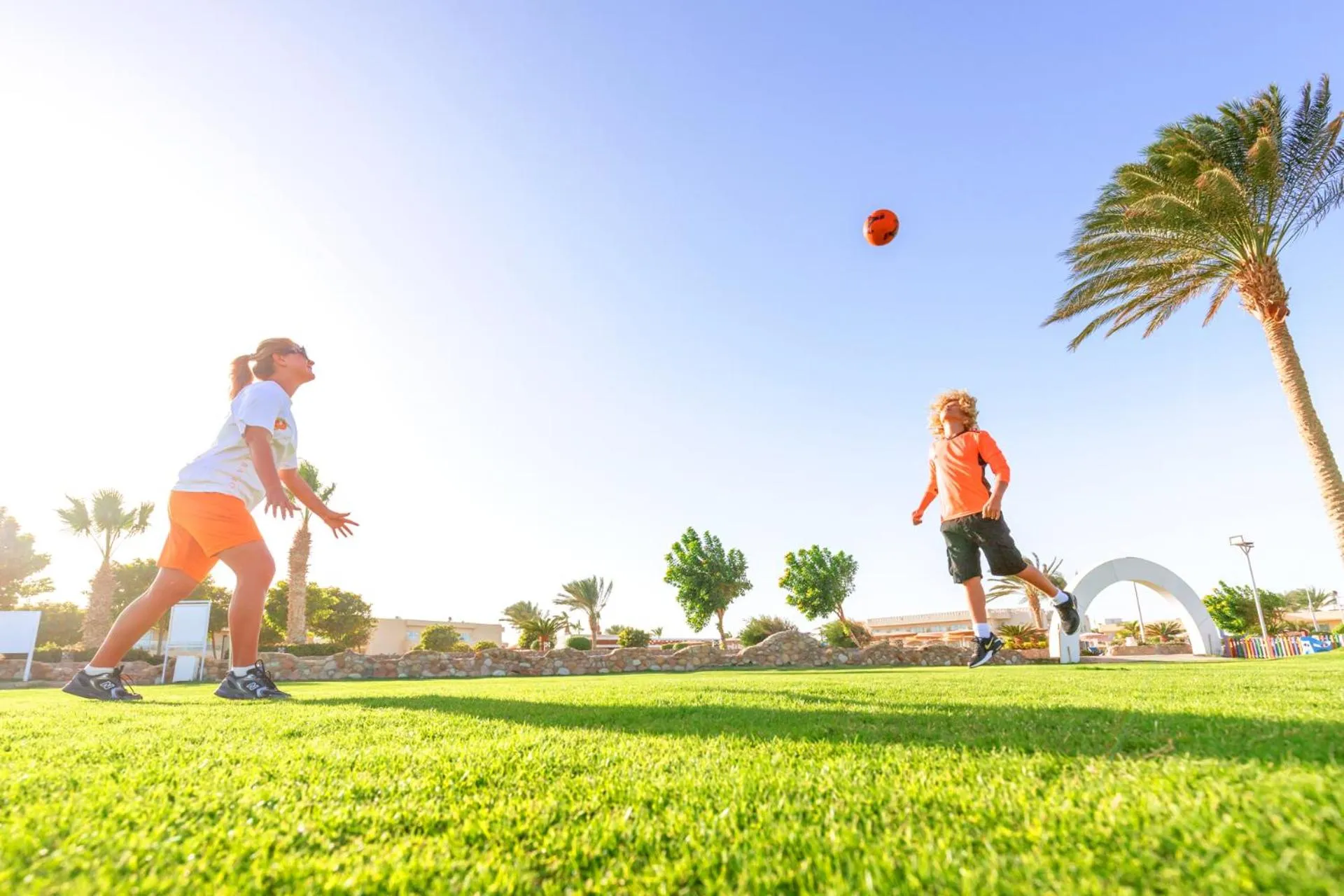 Garden in Pickalbatros Royal Moderna Sharm "Aqua Park"- All inclusive