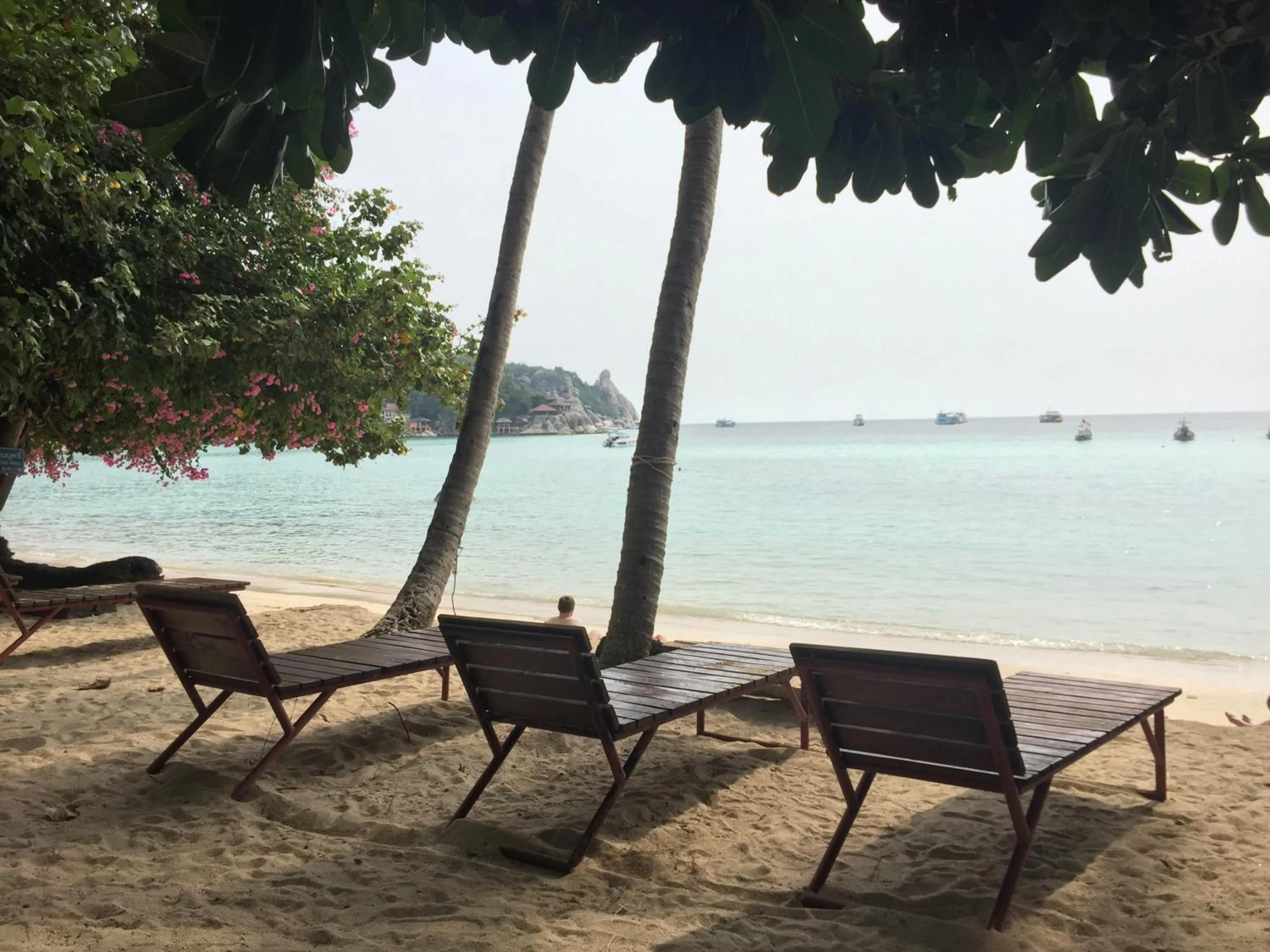 Big Fish Resort Koh Tao