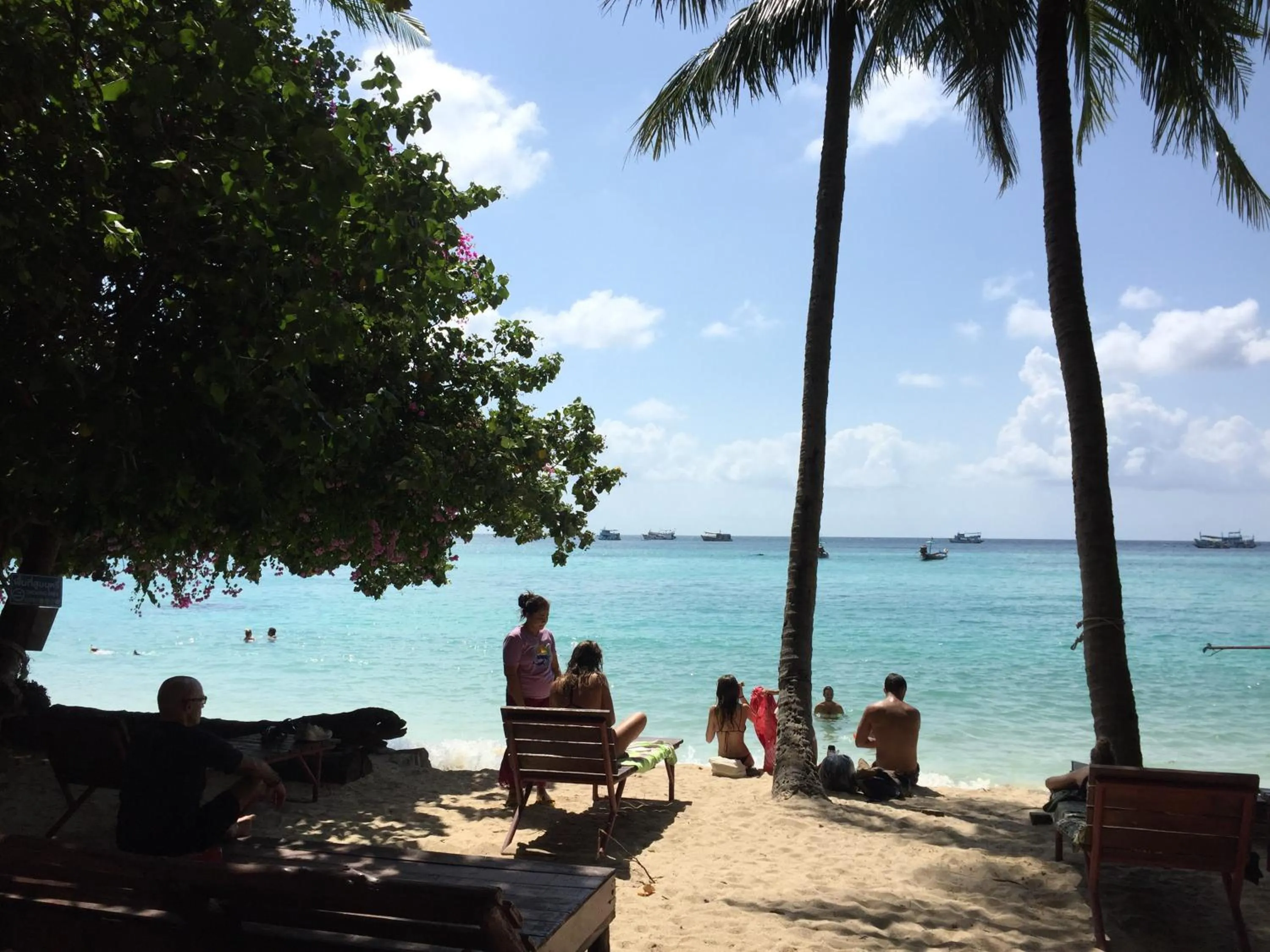 Big Fish Resort Koh Tao