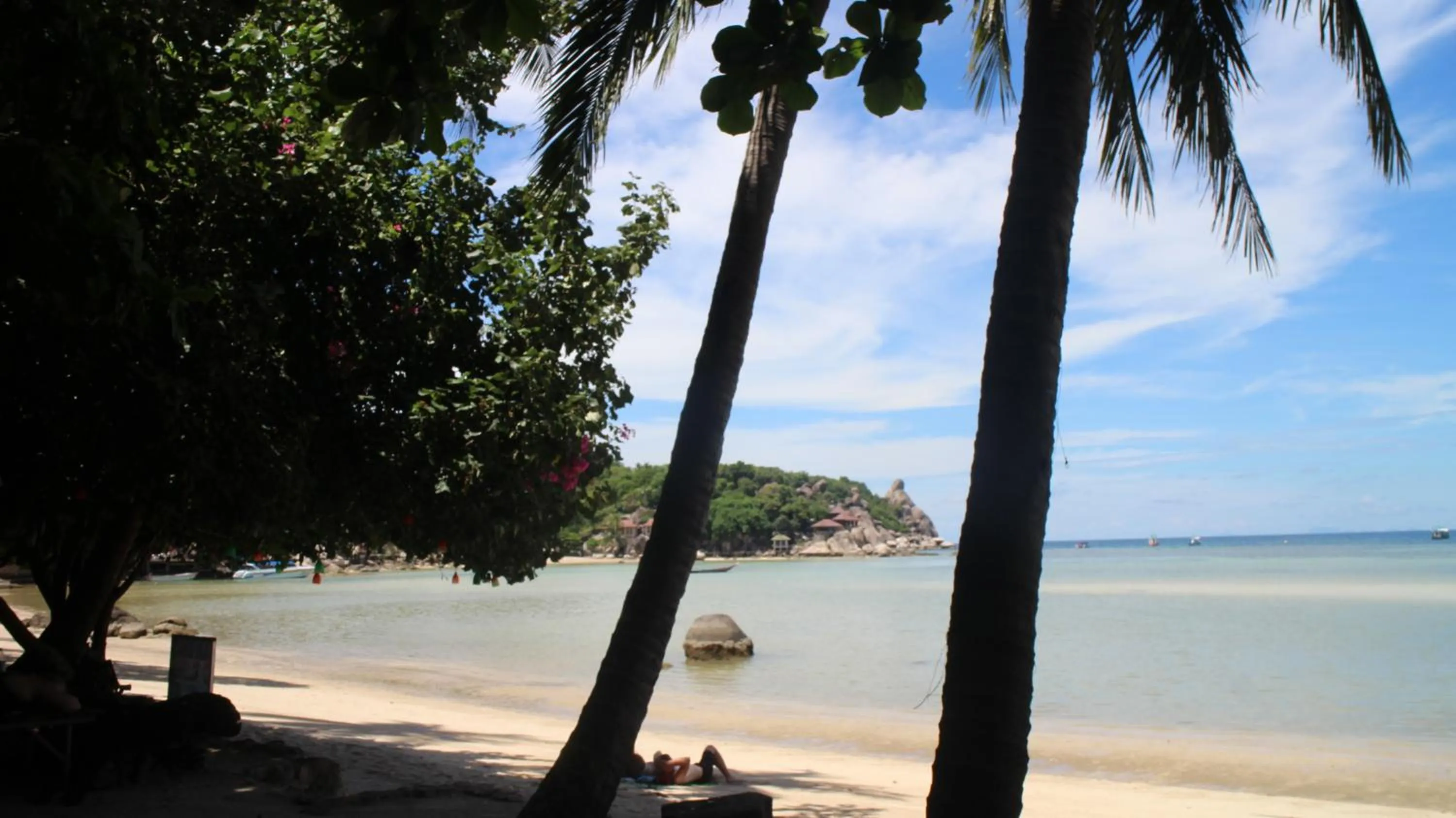 Big Fish Resort Koh Tao