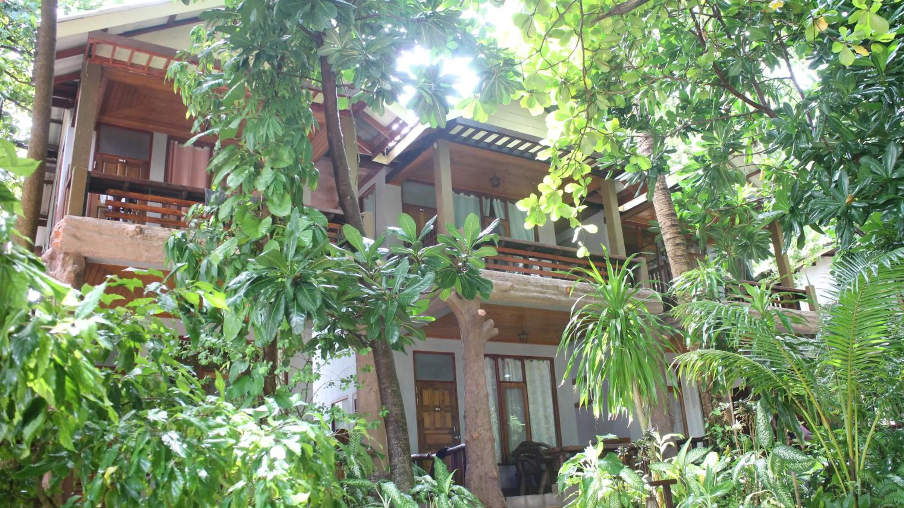 Big Fish Resort Koh Tao