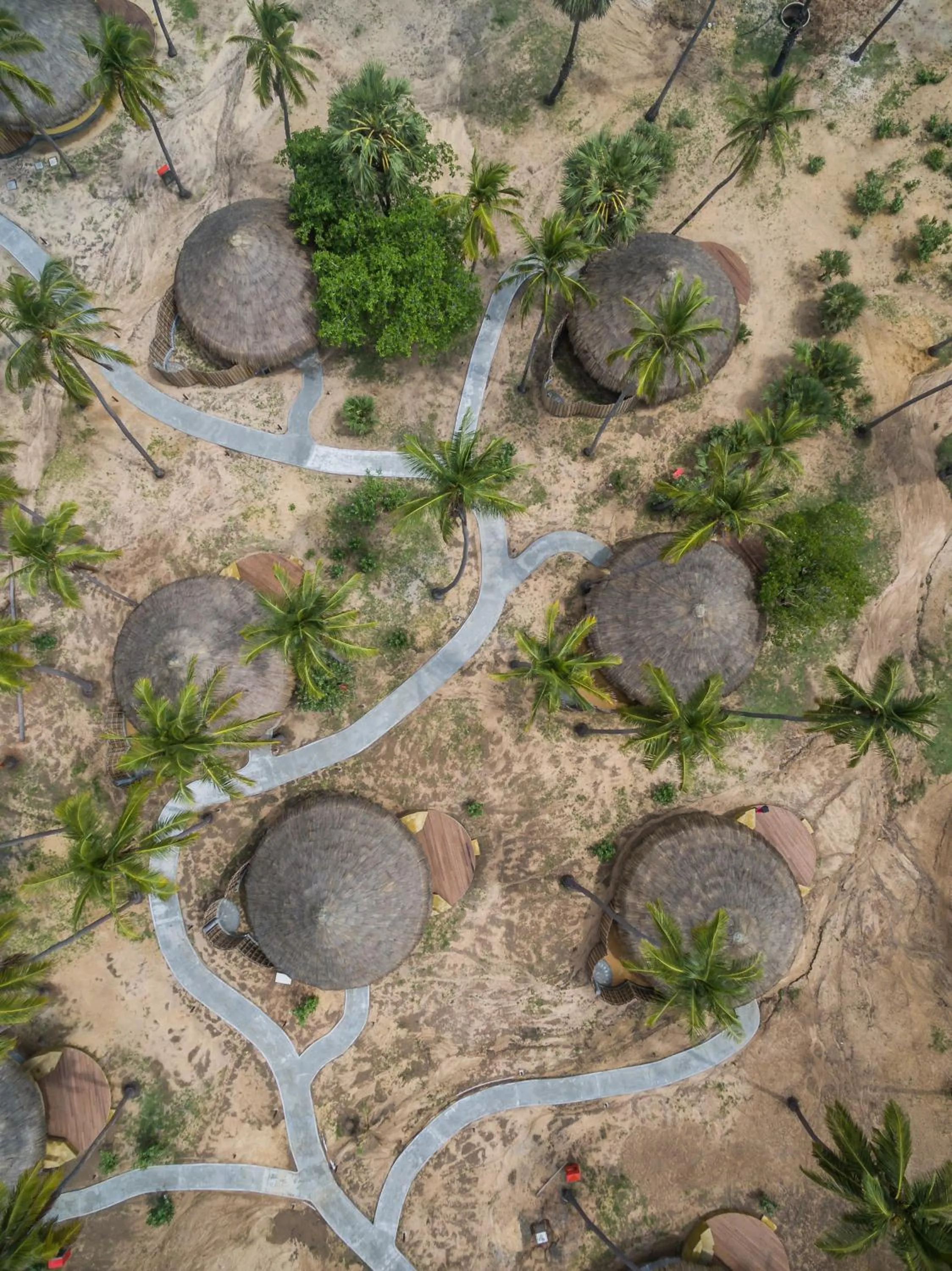Garden view in Jetwing Surf & Safari, A Luxury Reserve
