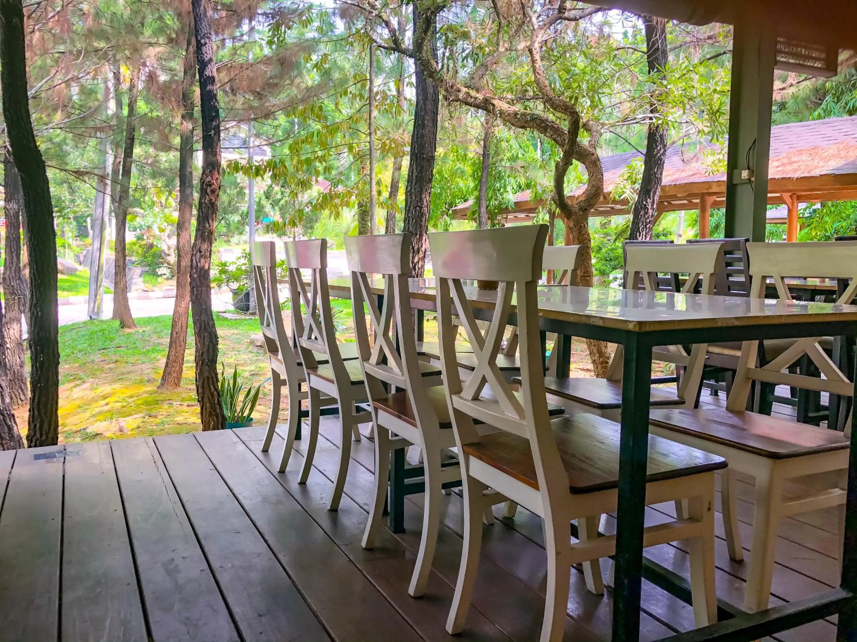 New Green Sentul Resort