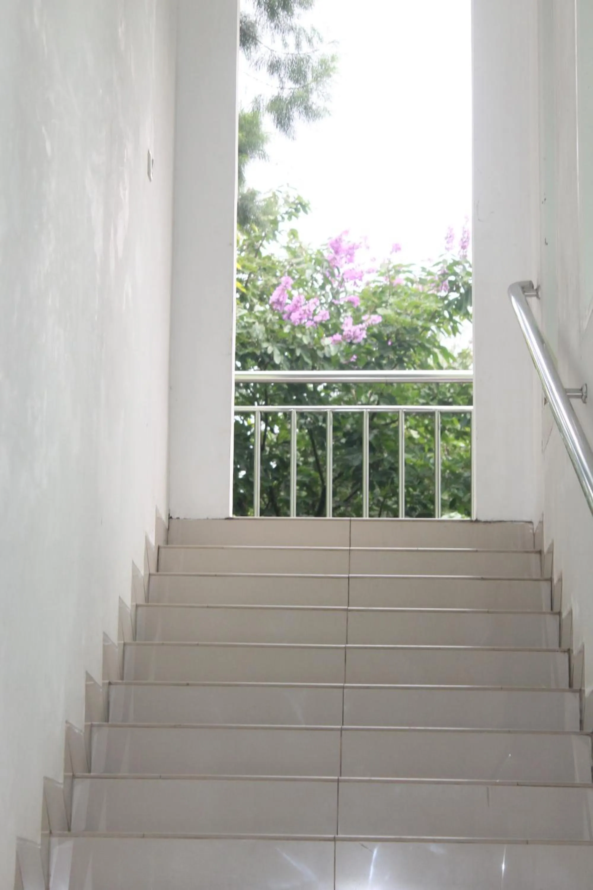 New Green Sentul Resort