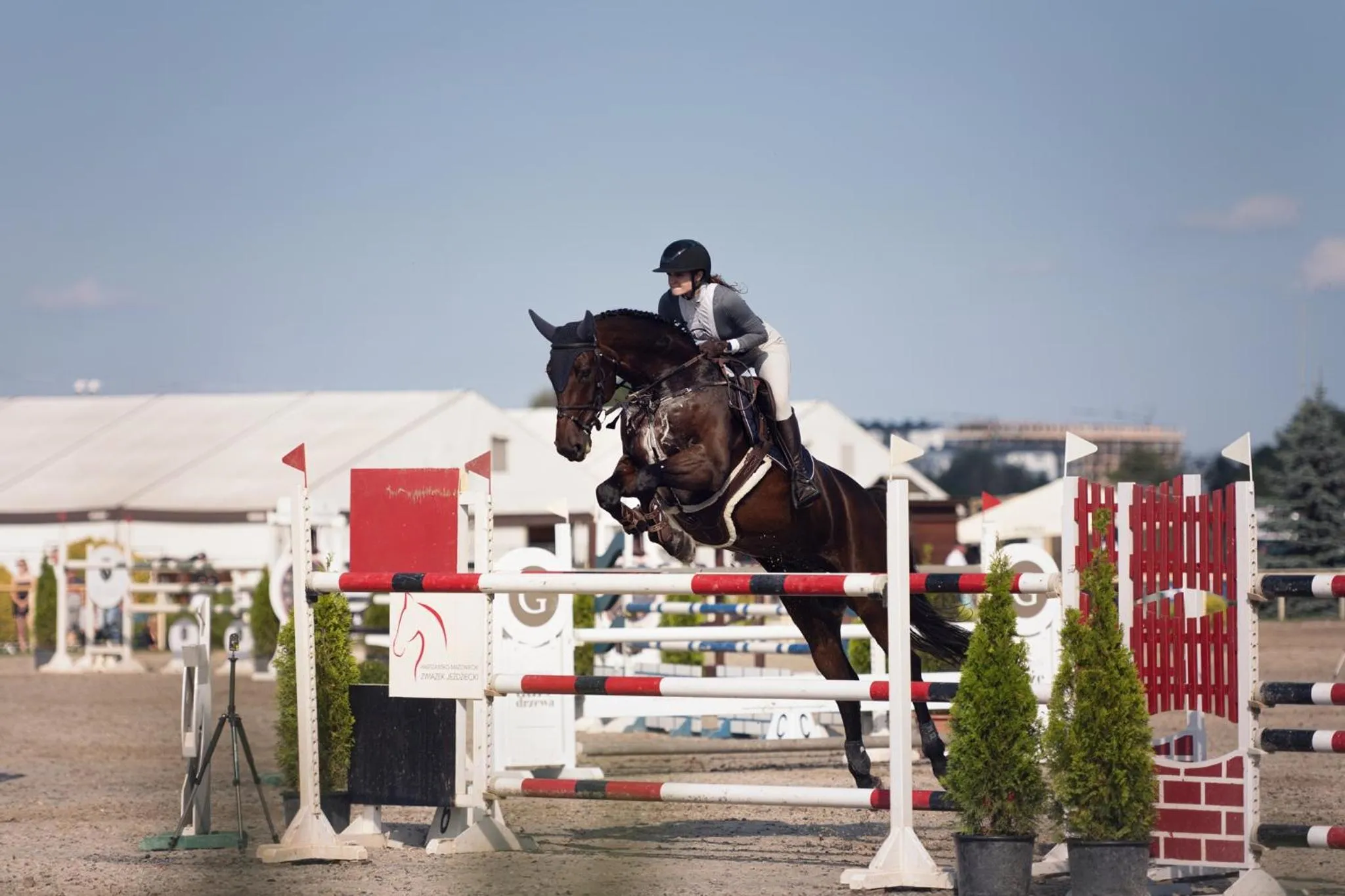 Day in Sielanka Nad Pilicą