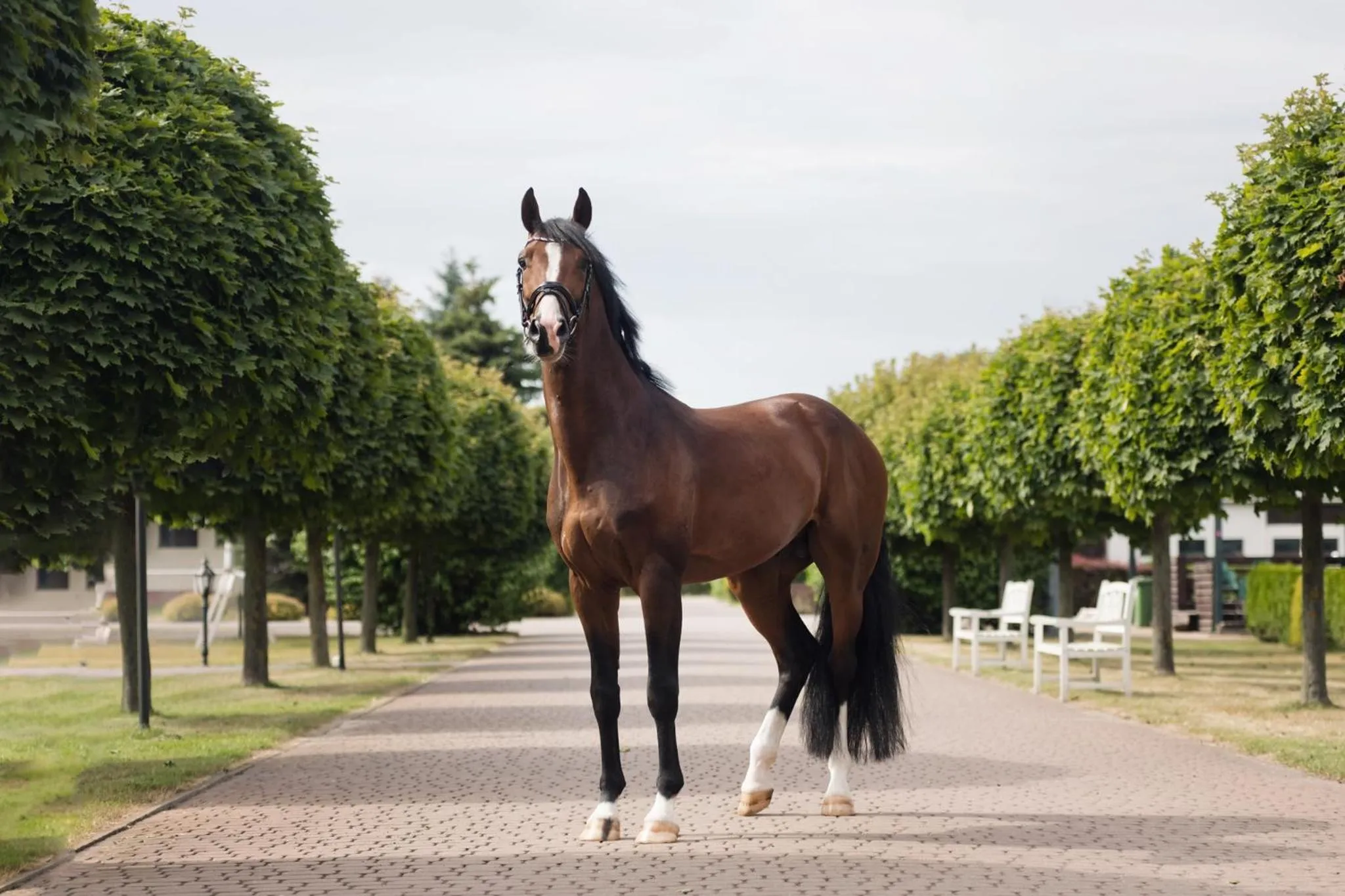 Day in Sielanka Nad Pilicą