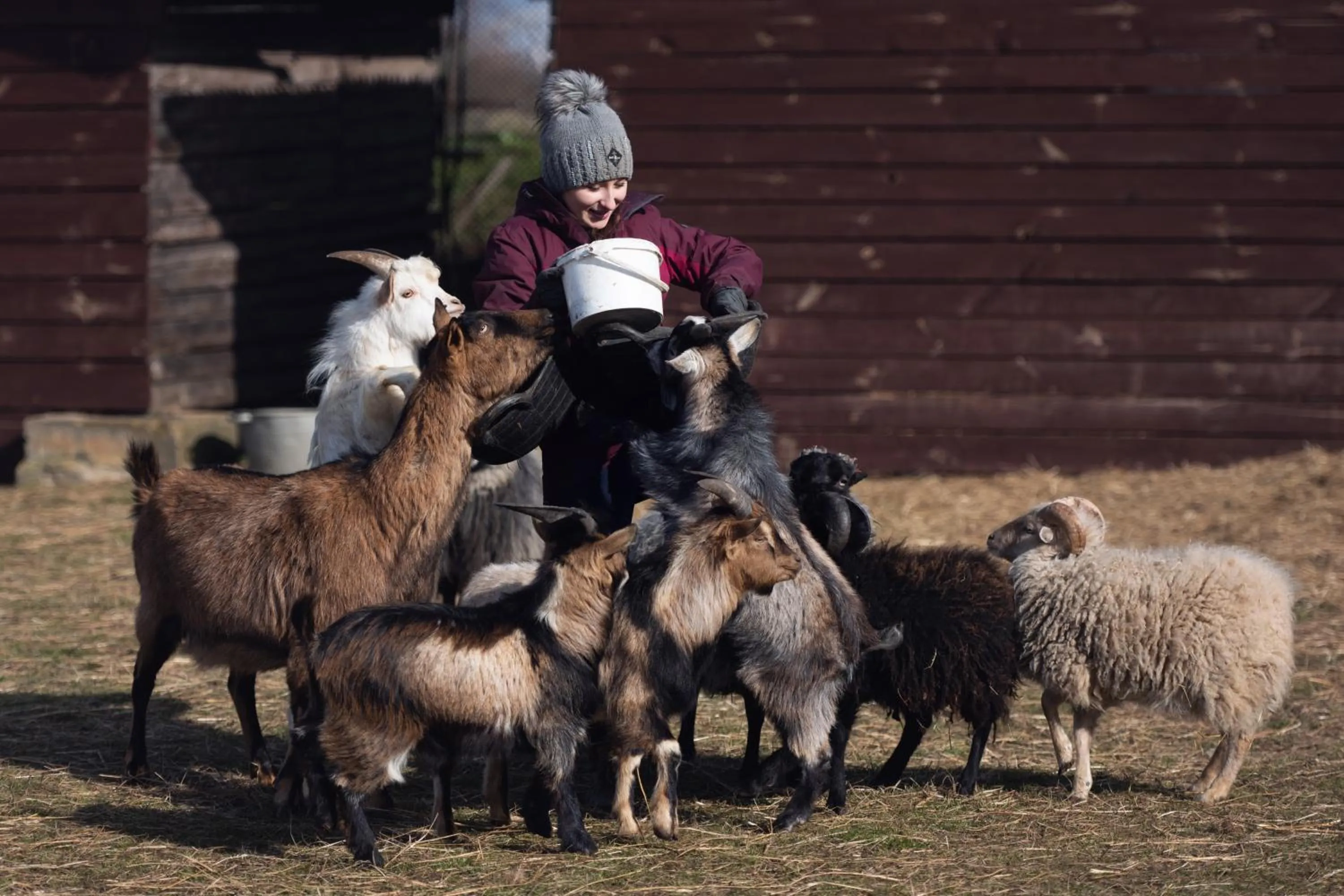 Day in Sielanka Nad Pilicą