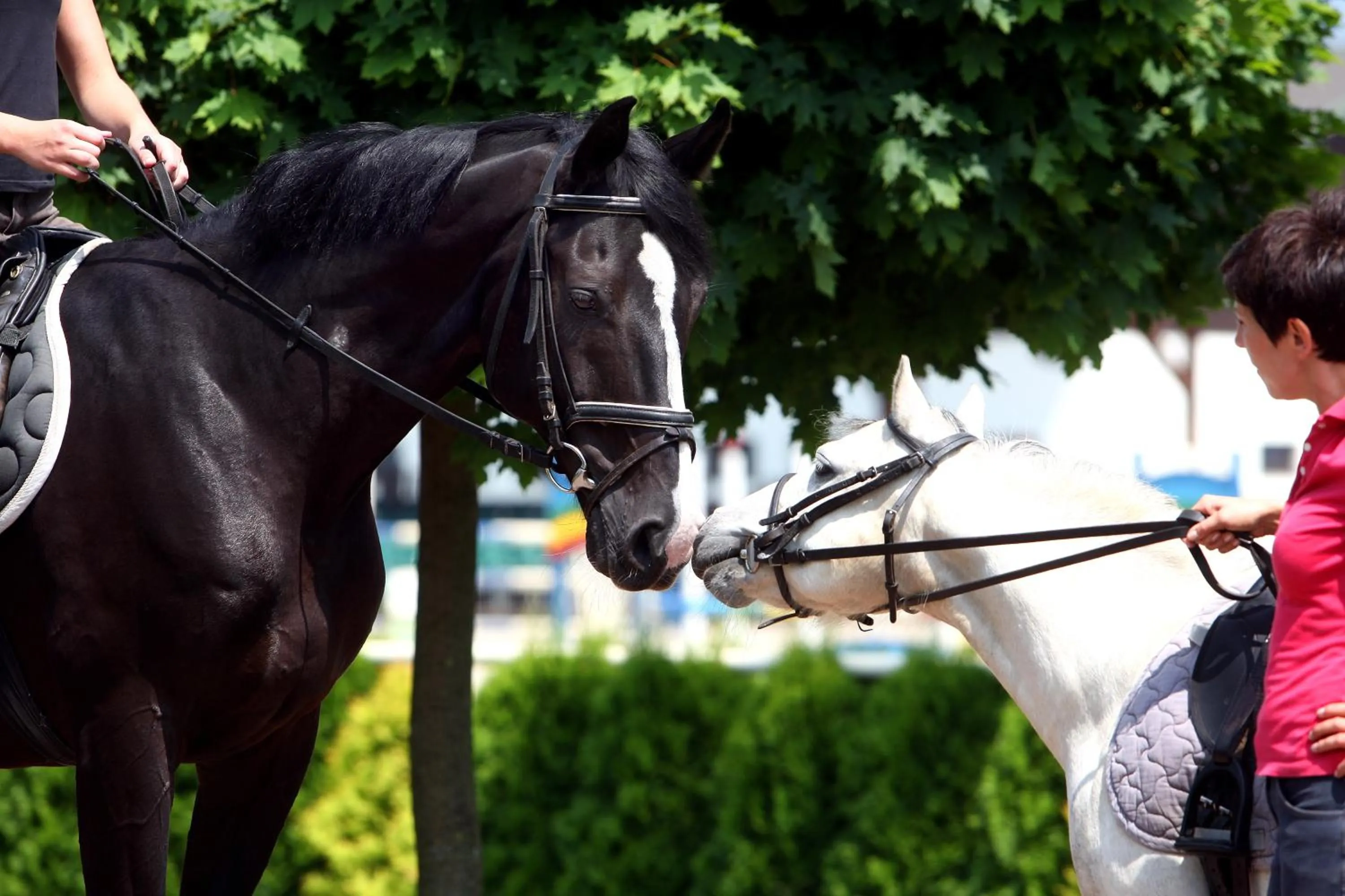 Day in Sielanka Nad Pilicą
