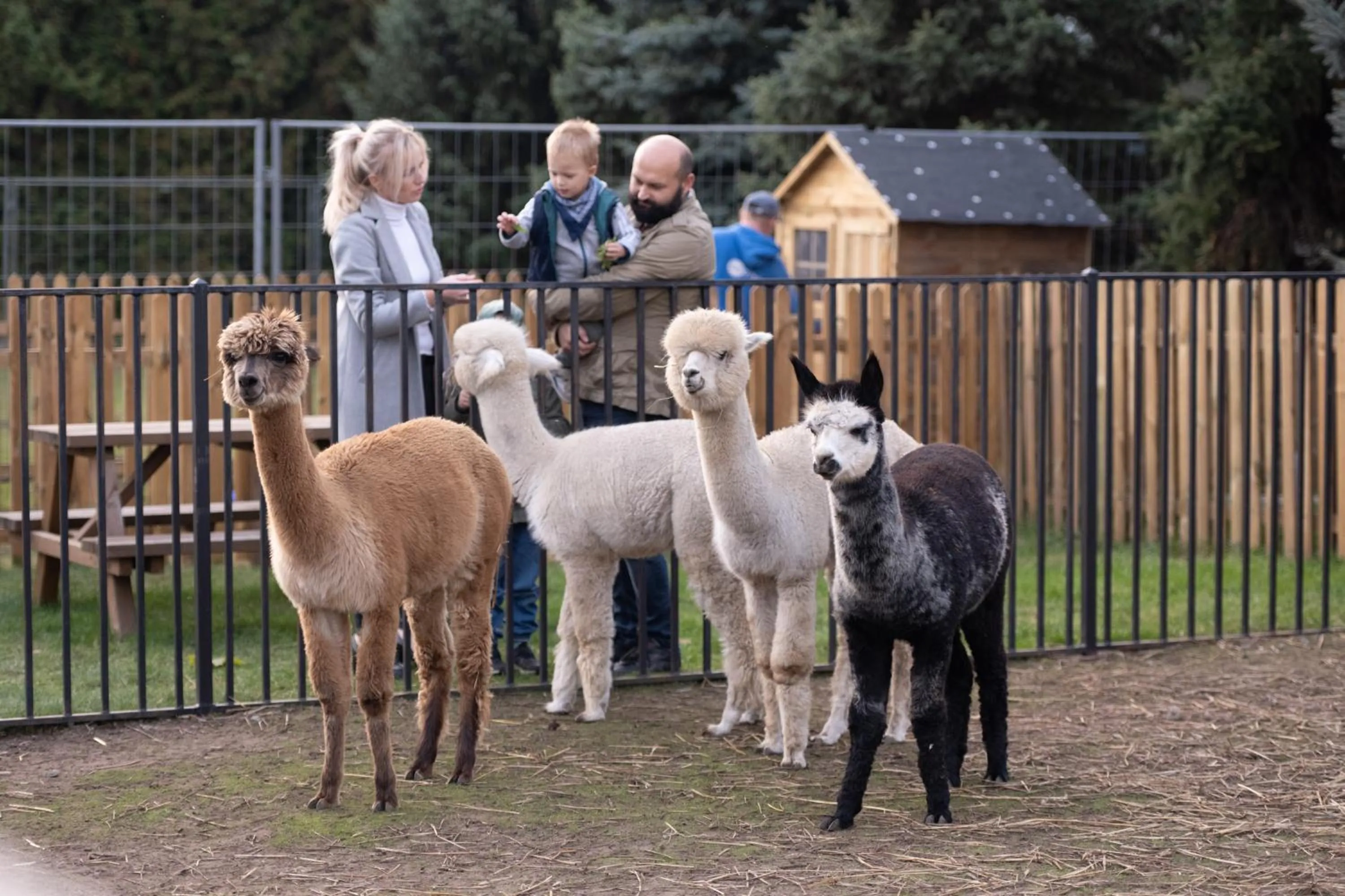 Day in Sielanka Nad Pilicą