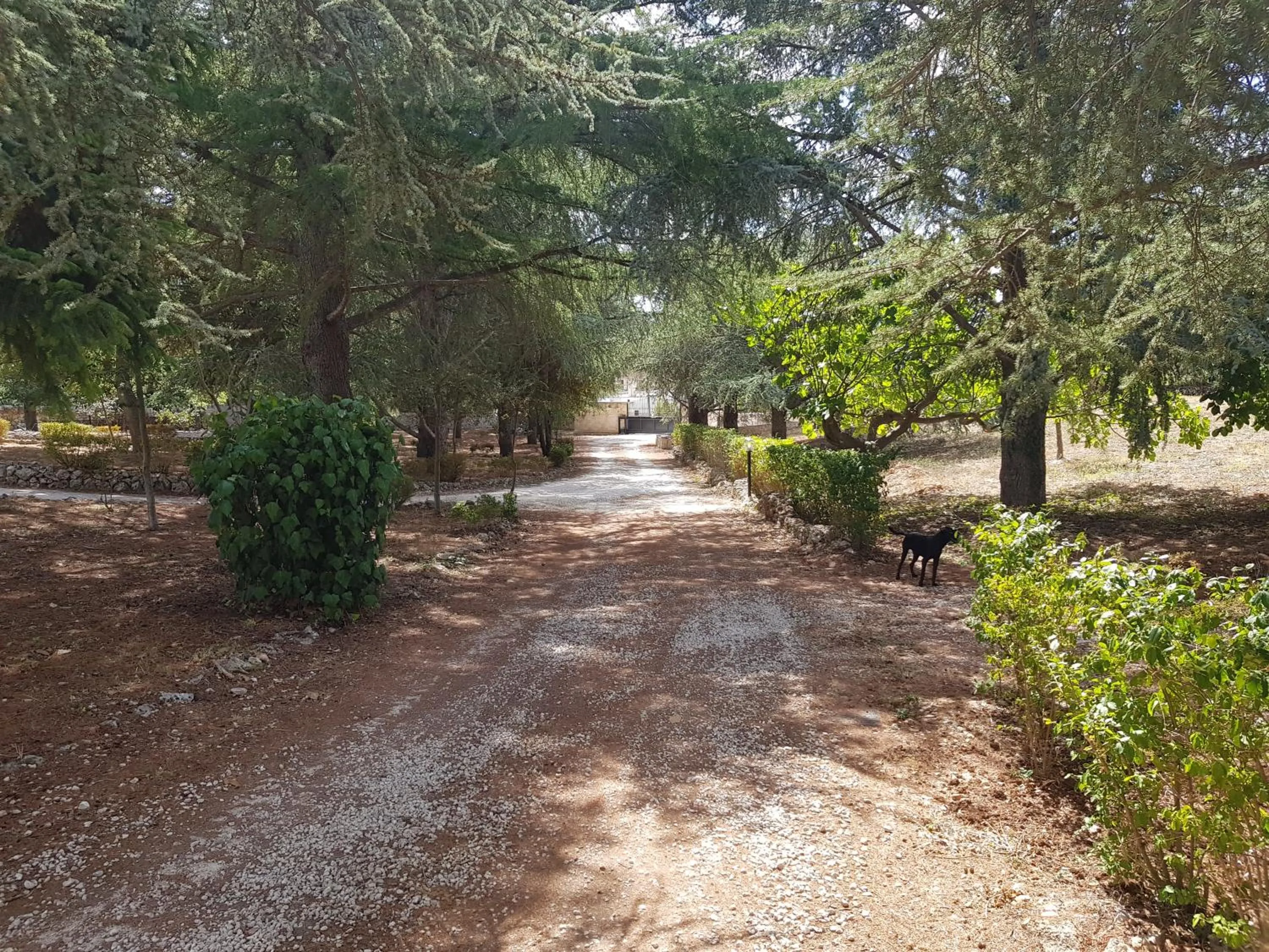Facade/entrance in Villa Venus Woods