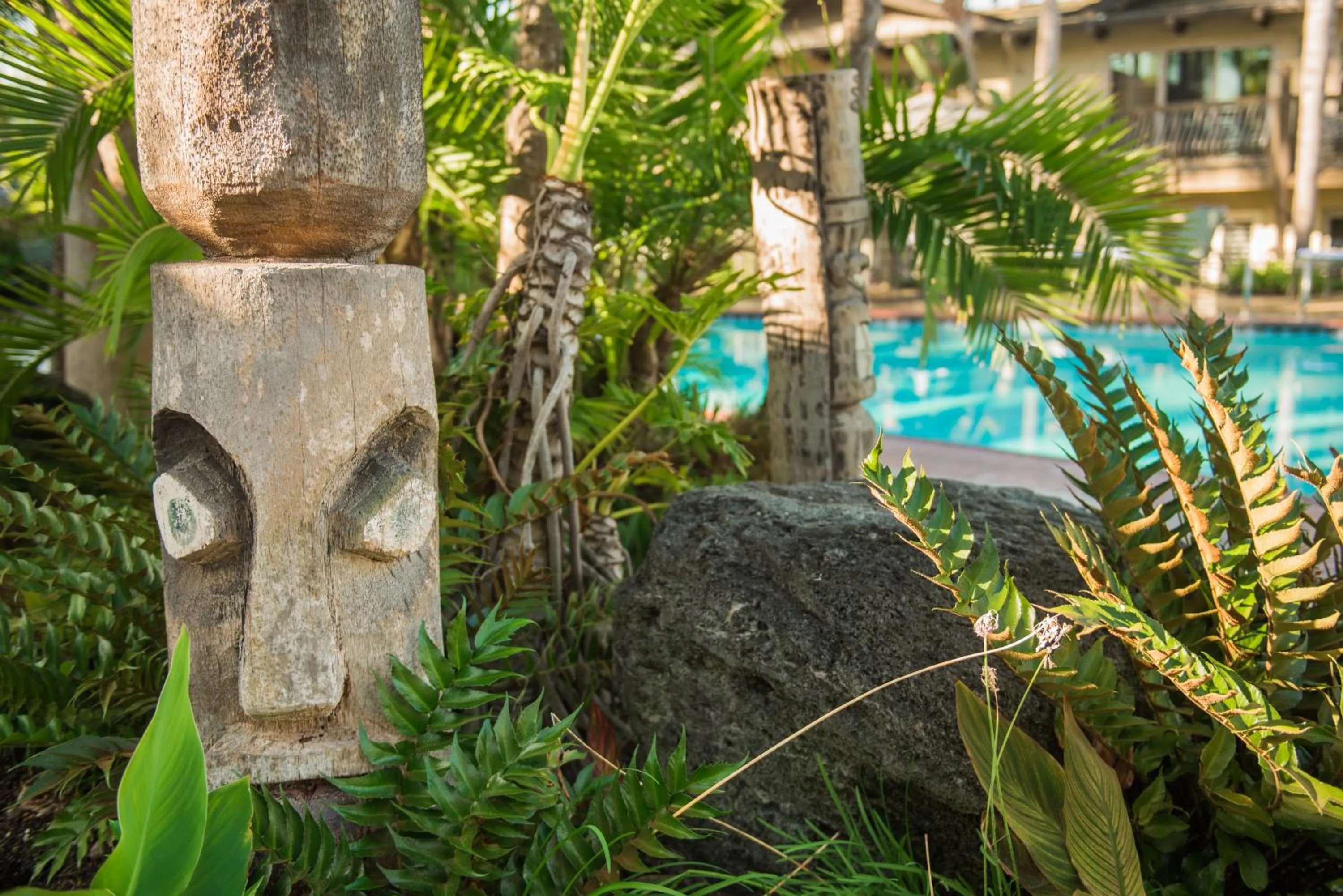 Area and facilities in Humphreys Half Moon Inn