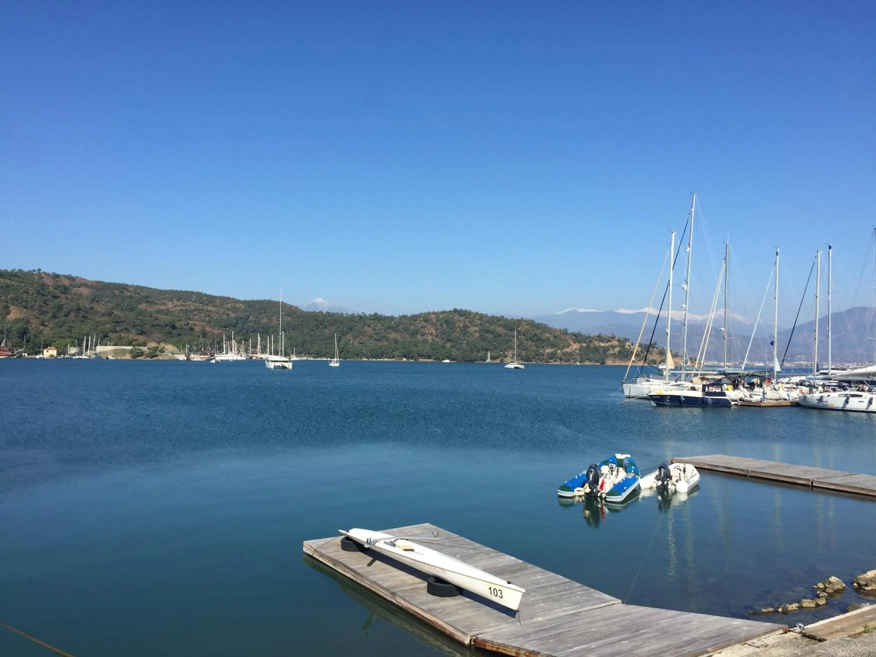 Hotel Villa Daffodil